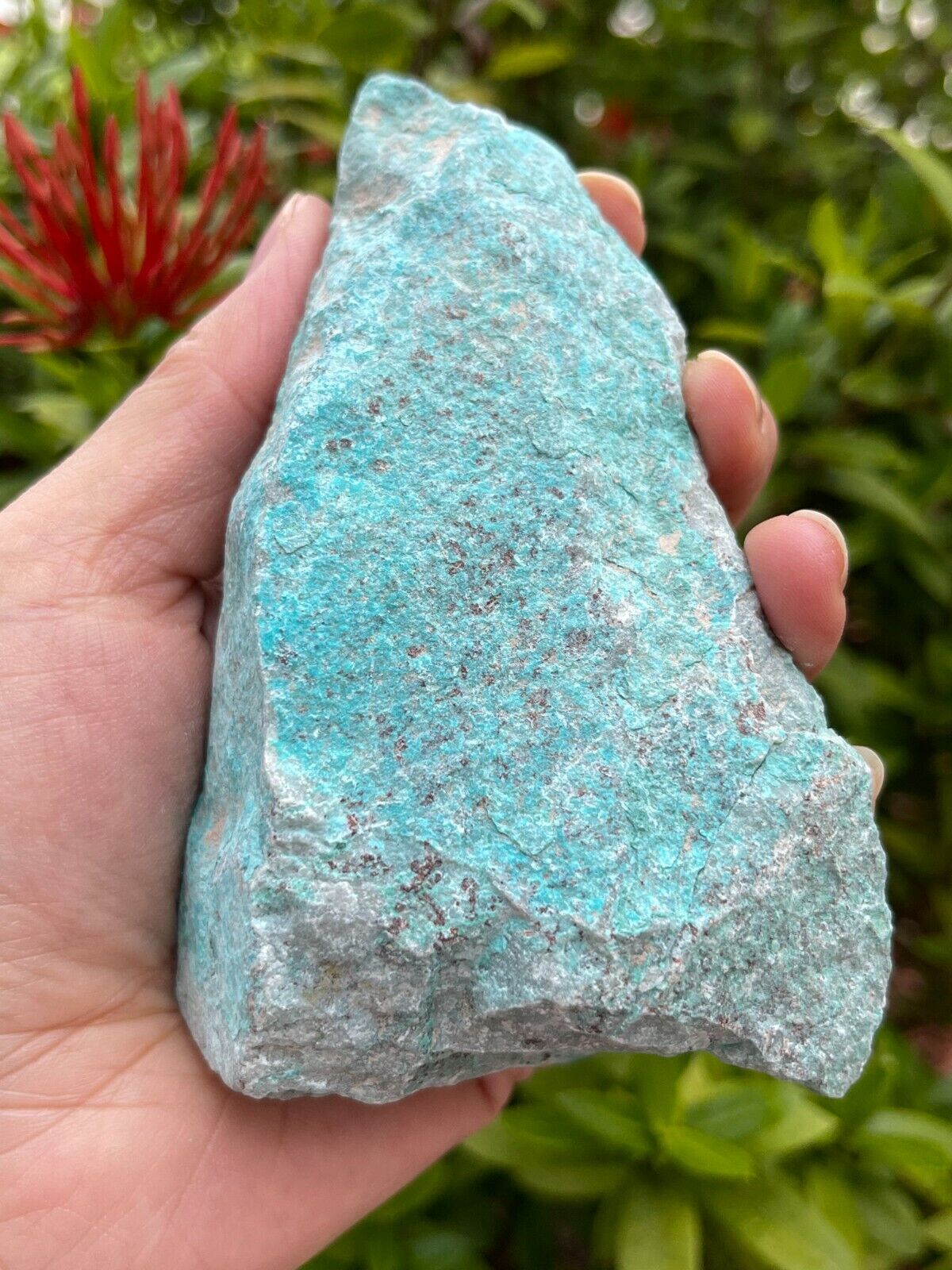XL Raw Stones 0.5-1 lb, 3-4" Natural Crystals – Choose from 20+ Types