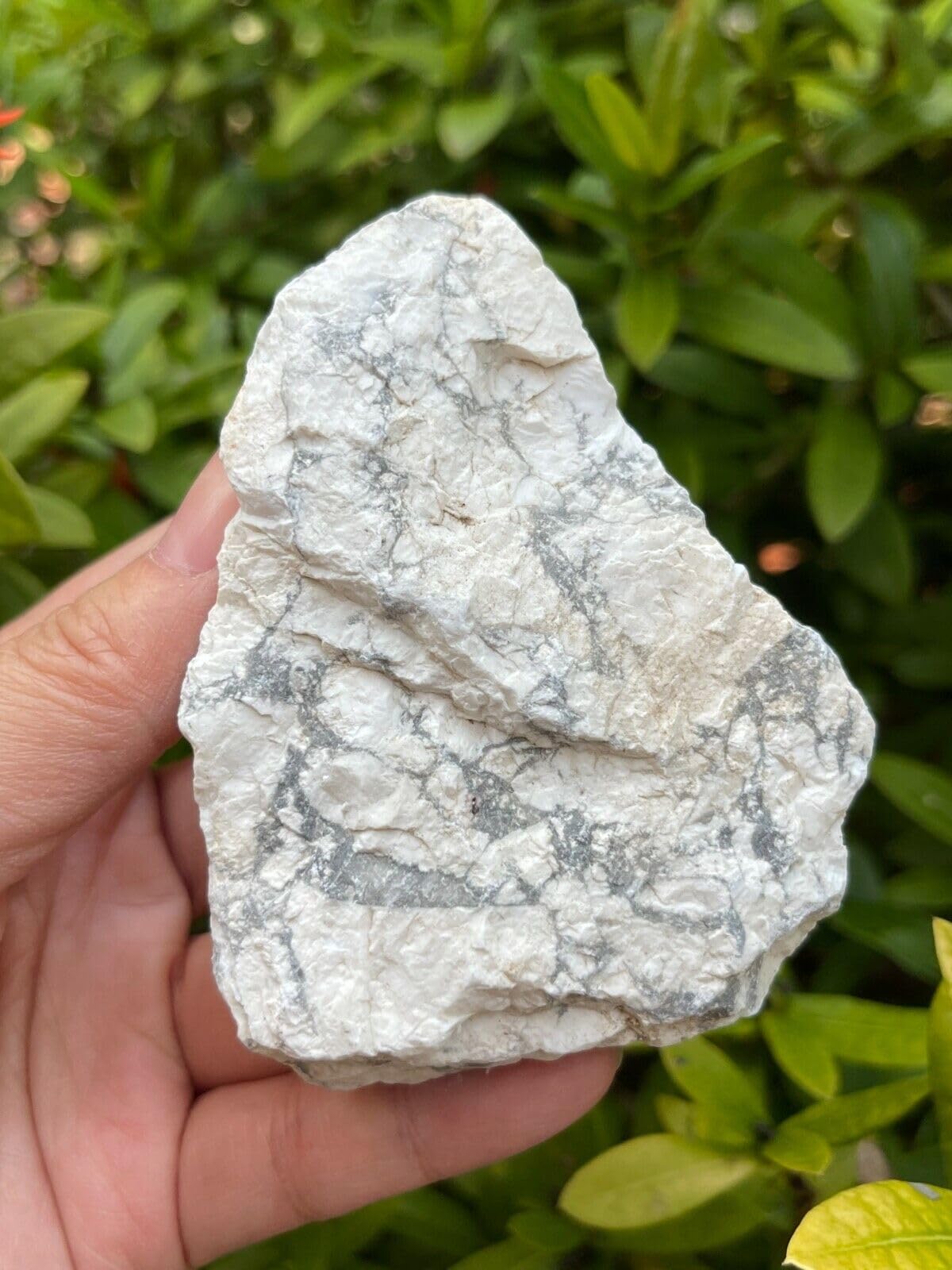 XL Raw Stones 0.5-1 lb, 3-4" Natural Crystals – Choose from 20+ Types