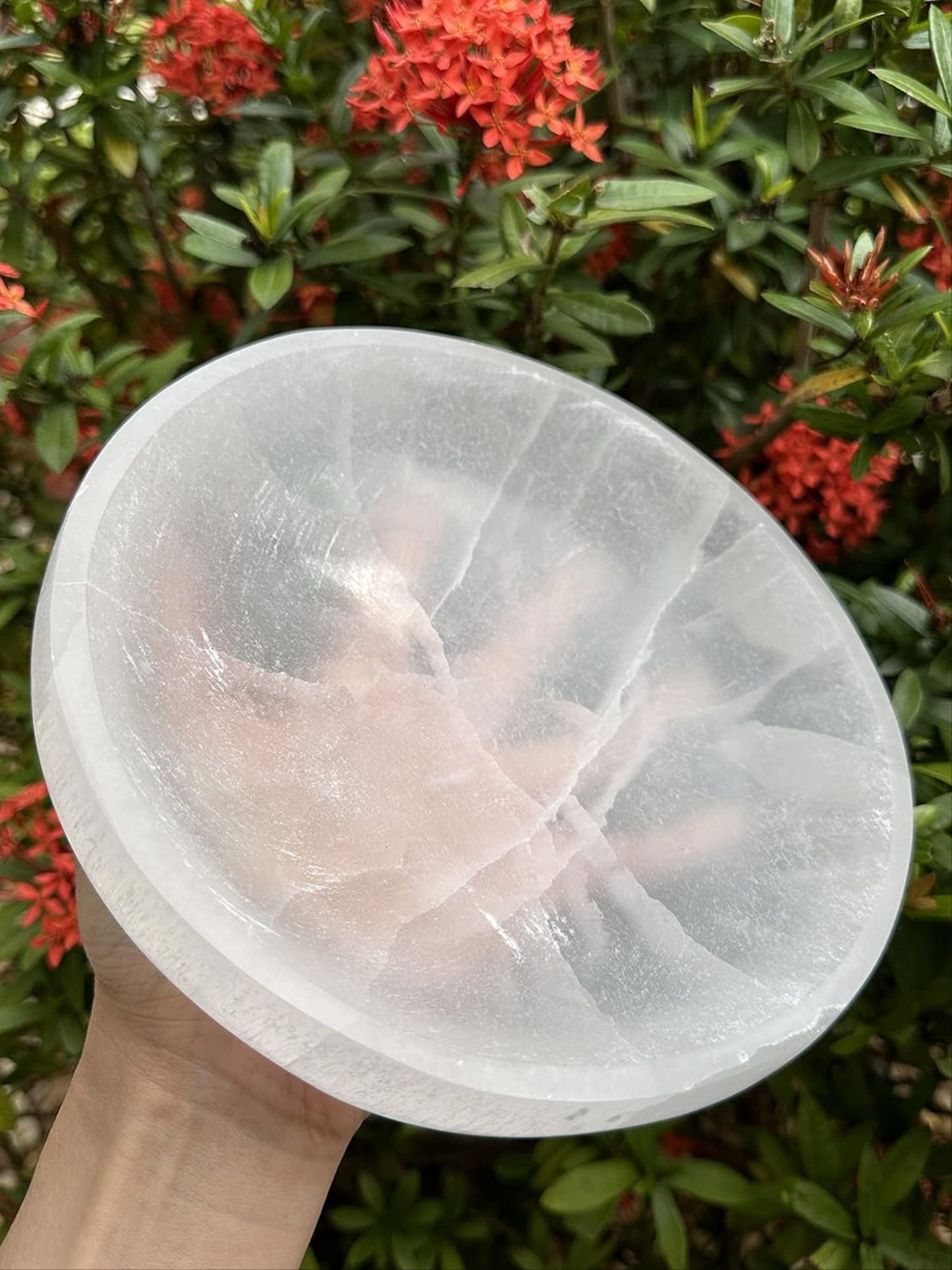 Jumbo 8" Selenite Bowl, Selenite Round Shaped Bowl For Cleansing Charging