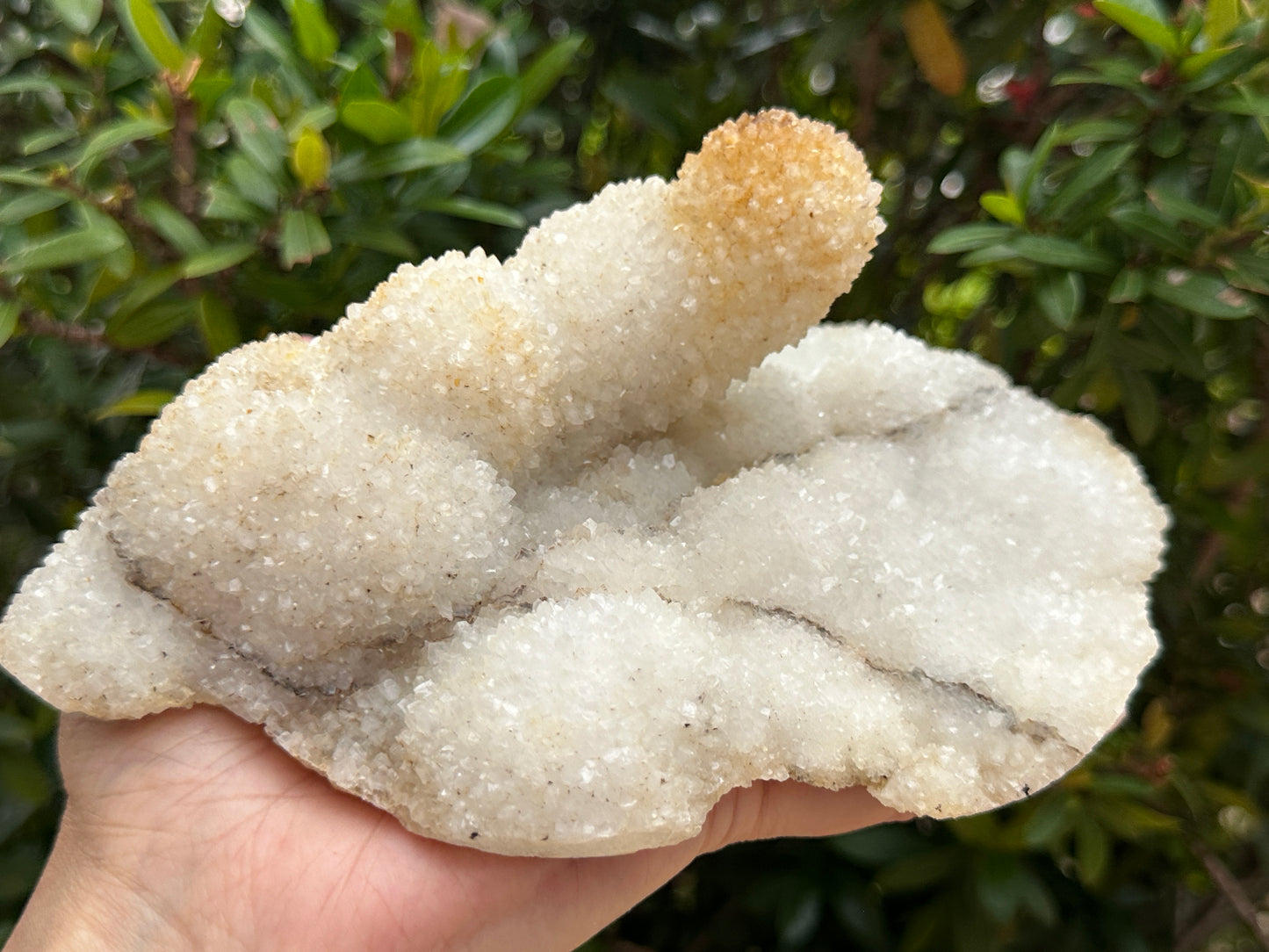 Chalcedony & Crystal Quartz Stalactite 3-8", Natural Quartz on Chalcedony Stalactite Specimen (0.12lb - 4 lb)