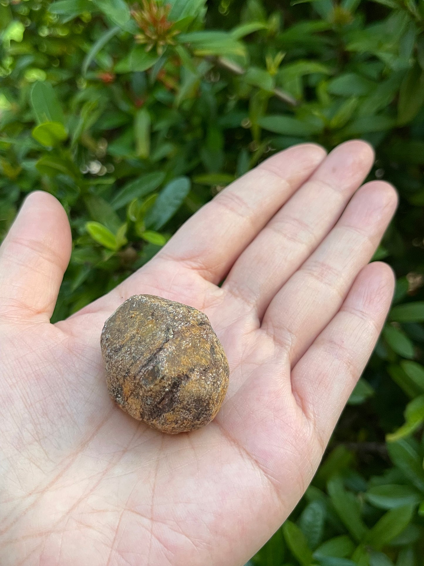 Grade A++ Natural Garnet Rough Stones, 1-1.5" Raw Garnet Stones, Pick How Many