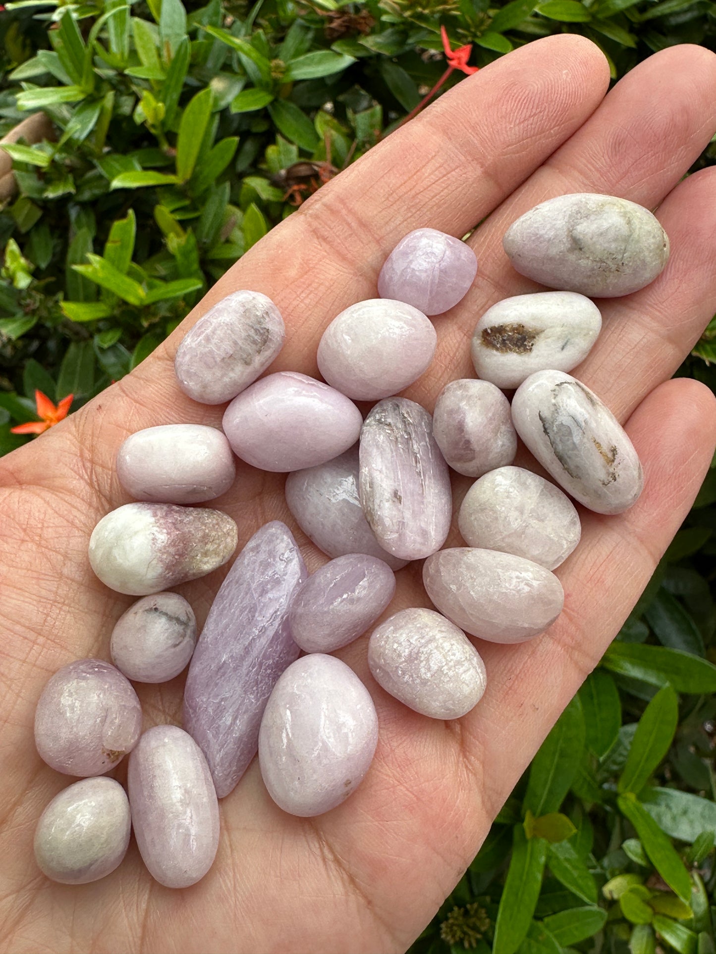 Grade A++ Kunzite Tumbled Stone, 0.5-0.6 Inch Kunzite Crystal, Pick How Many