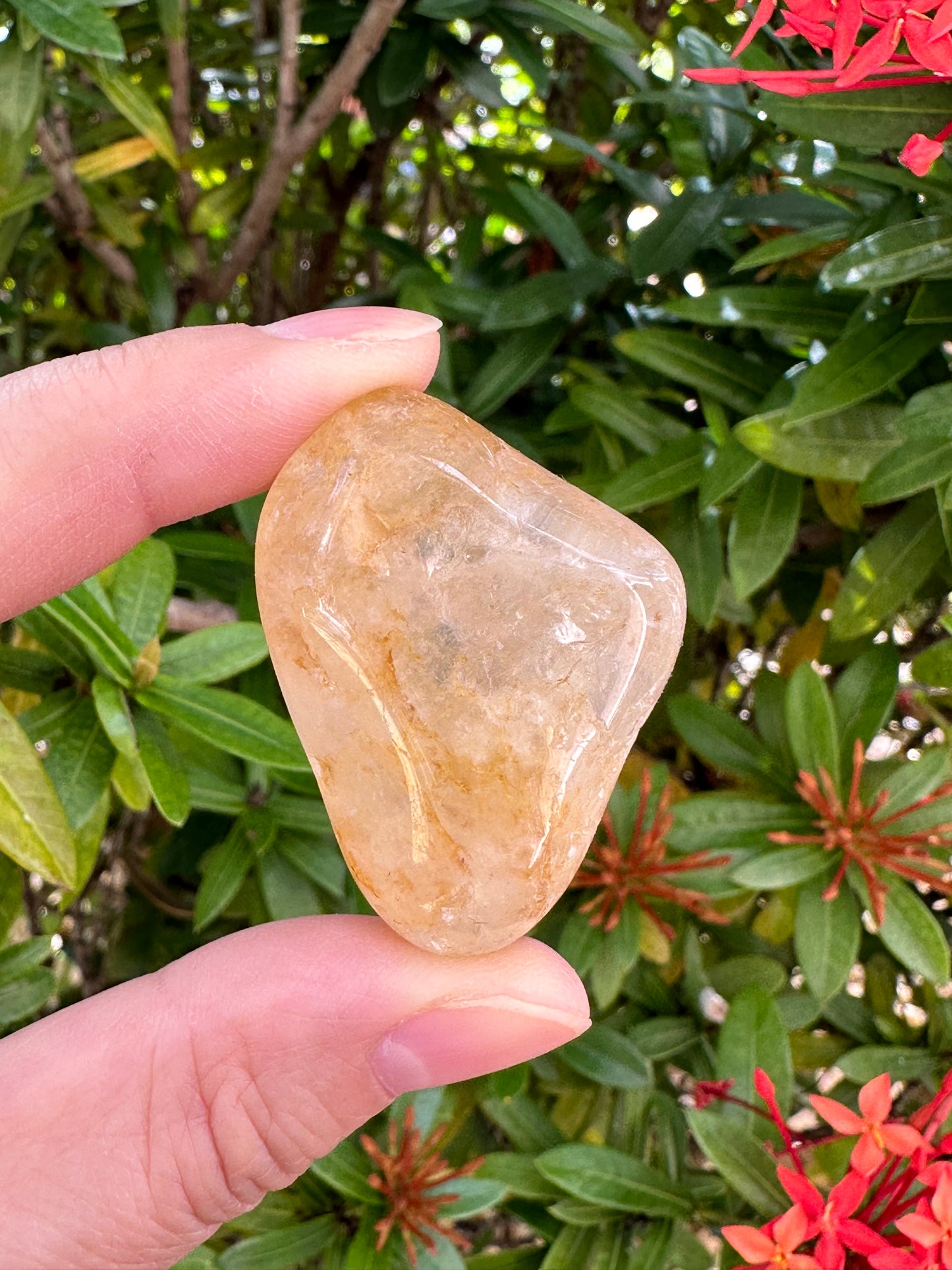 Grade A++Golden Healer Quartz Tumbled Stones 0.75-1.25", Pick How Many