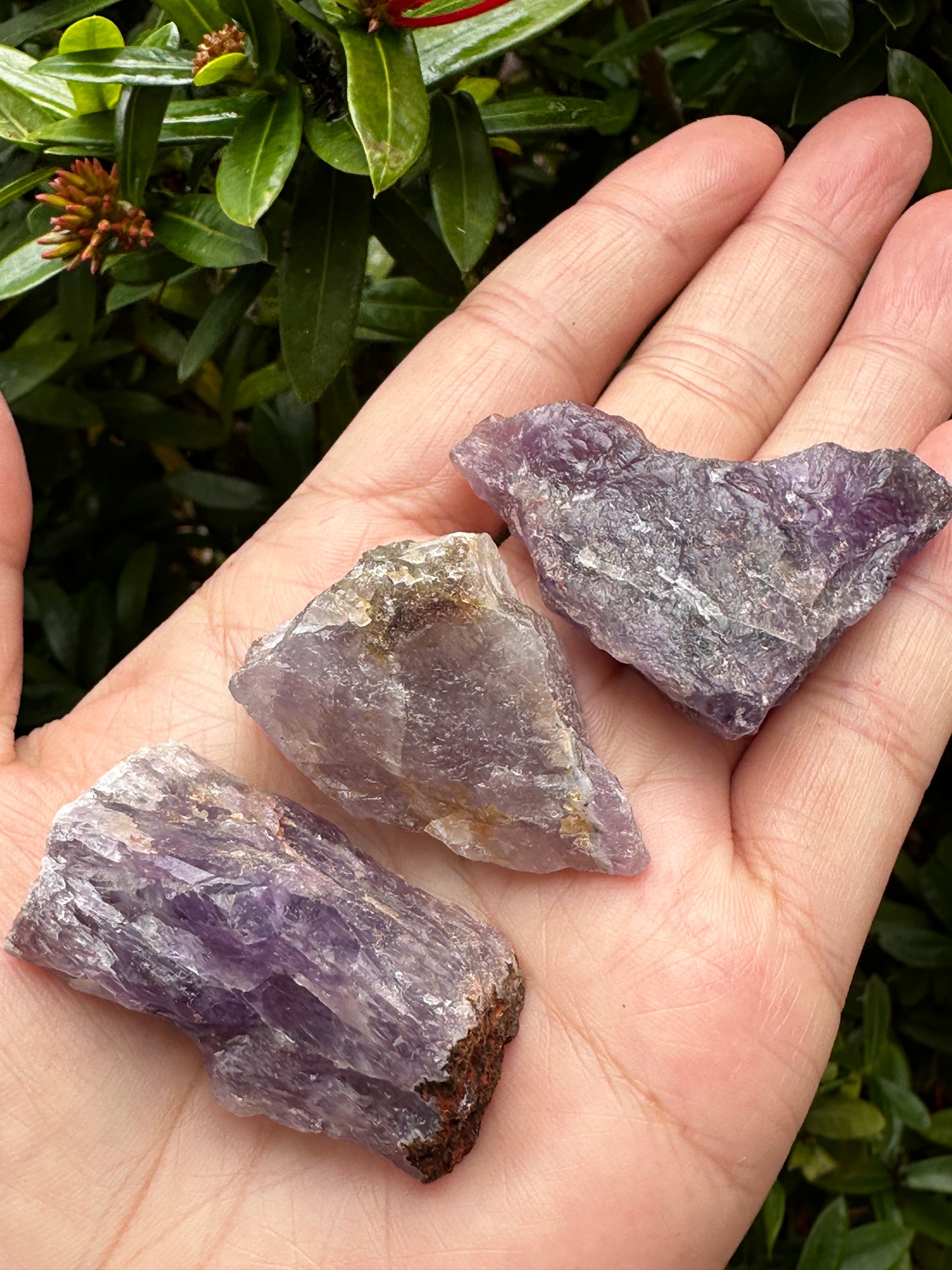 Amethyst Rough Natural Stones, 1-2" Raw Amethyst Stones, Wholesales Bulk Lot