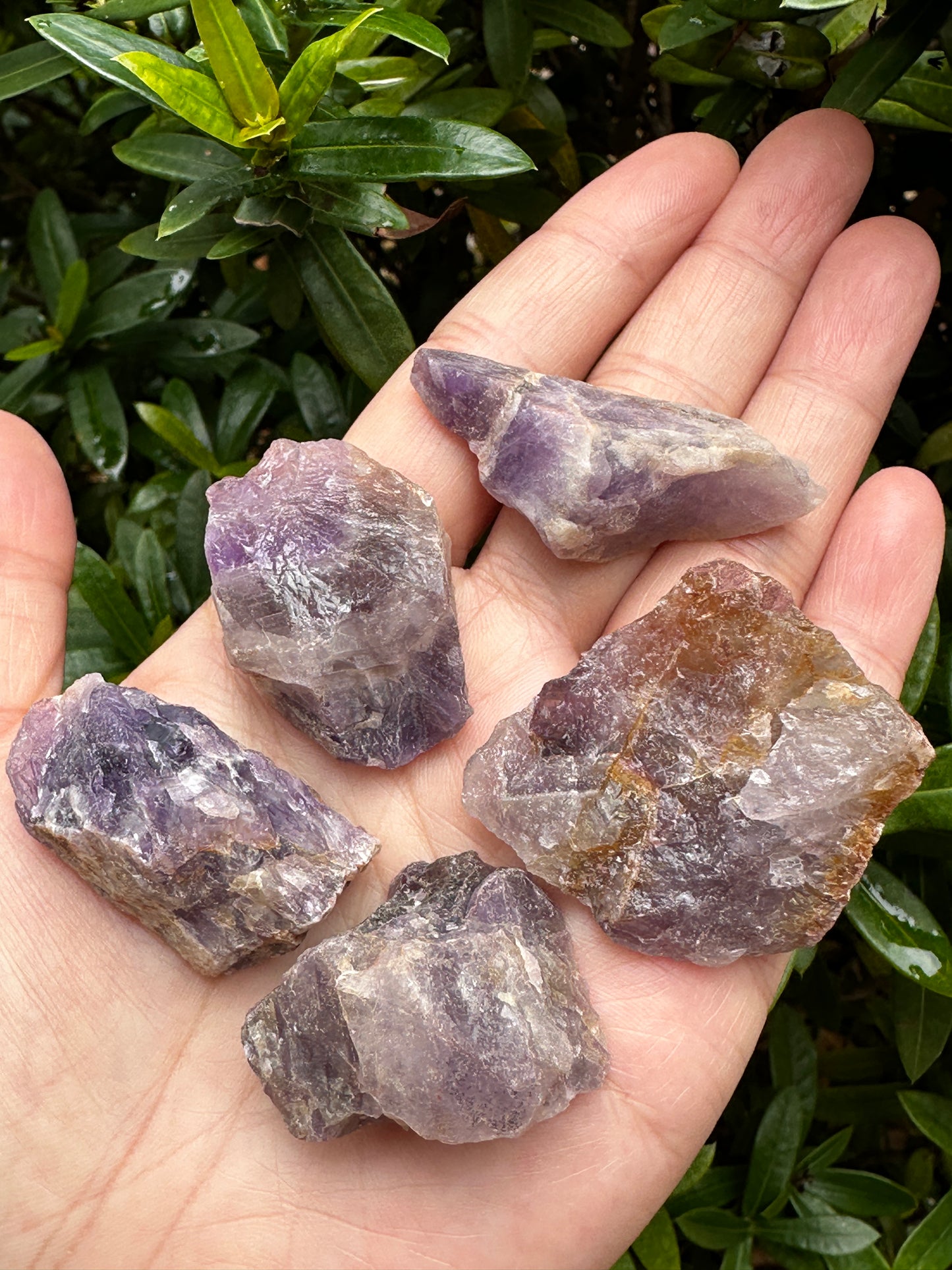 Amethyst Rough Natural Stones, 1-2" Raw Amethyst Stones, Wholesales Bulk Lot