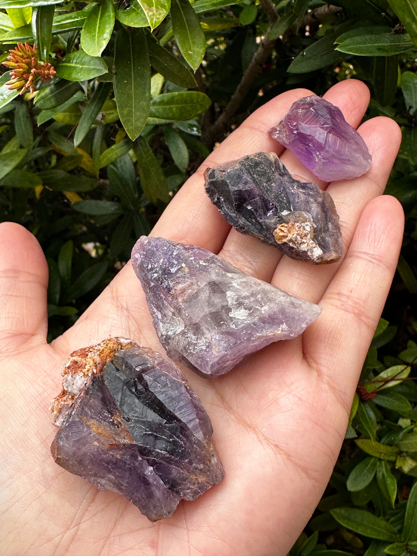 Amethyst Rough Natural Stones, 1-2" Raw Amethyst Stones, Wholesales Bulk Lot