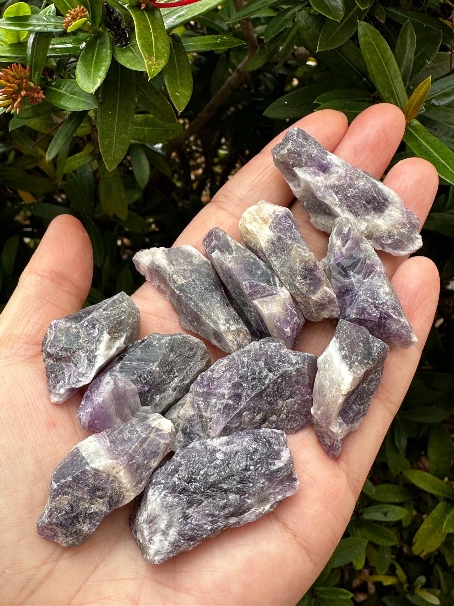 Chevron Amethyst Rough Stones, 1-2" Natural Chevron Amethyst, Wholesale Bulk Lot
