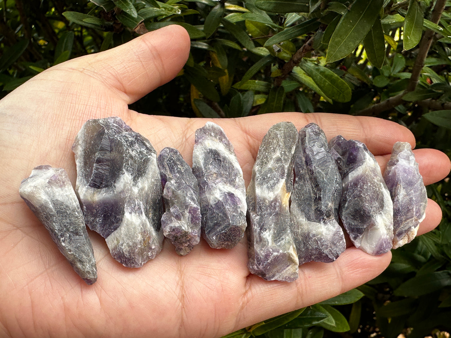 Chevron Amethyst Rough Stones, 1-2" Natural Chevron Amethyst, Wholesale Bulk Lot