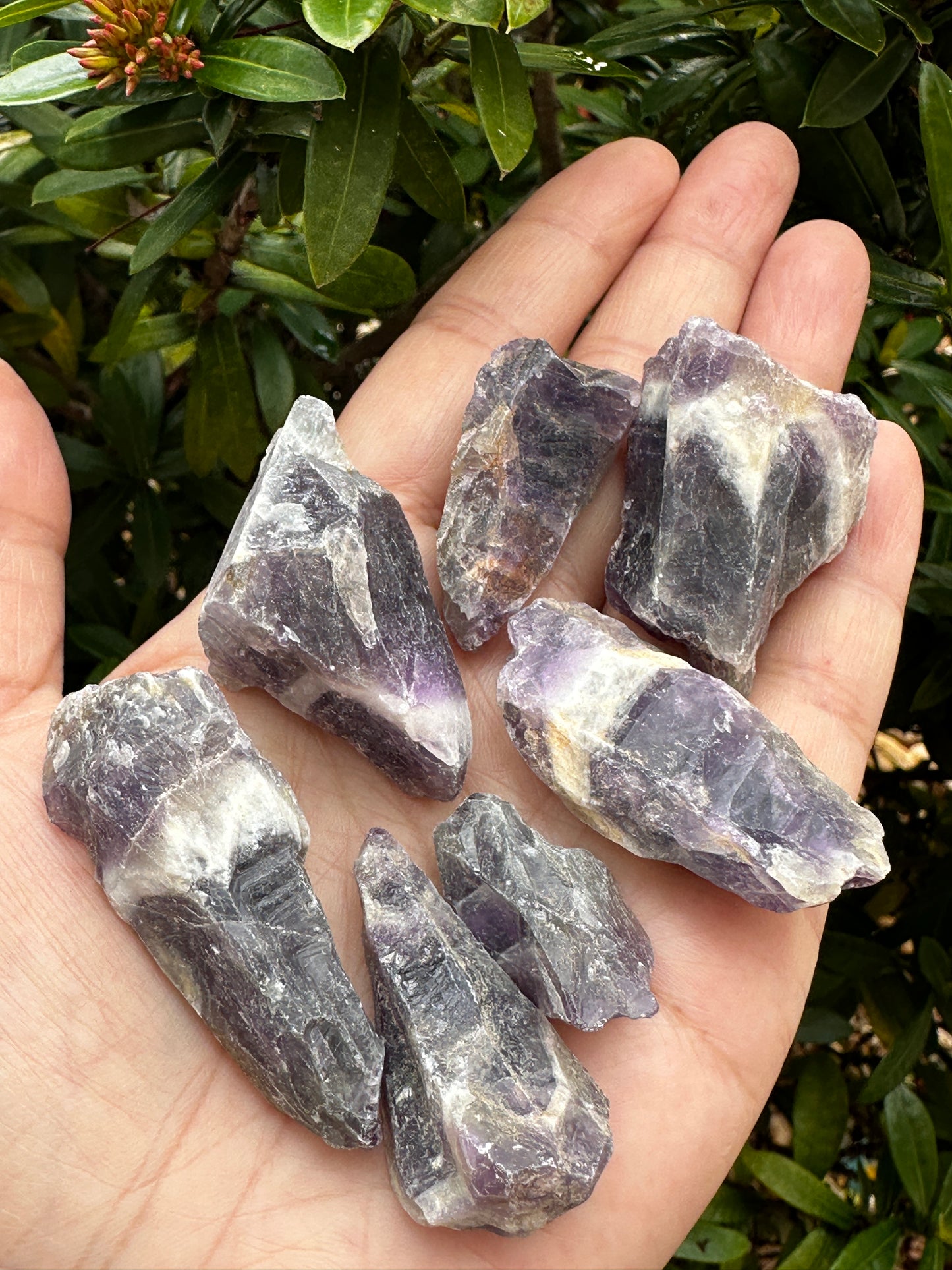 Chevron Amethyst Rough Stones, 1-2" Natural Chevron Amethyst, Wholesale Bulk Lot
