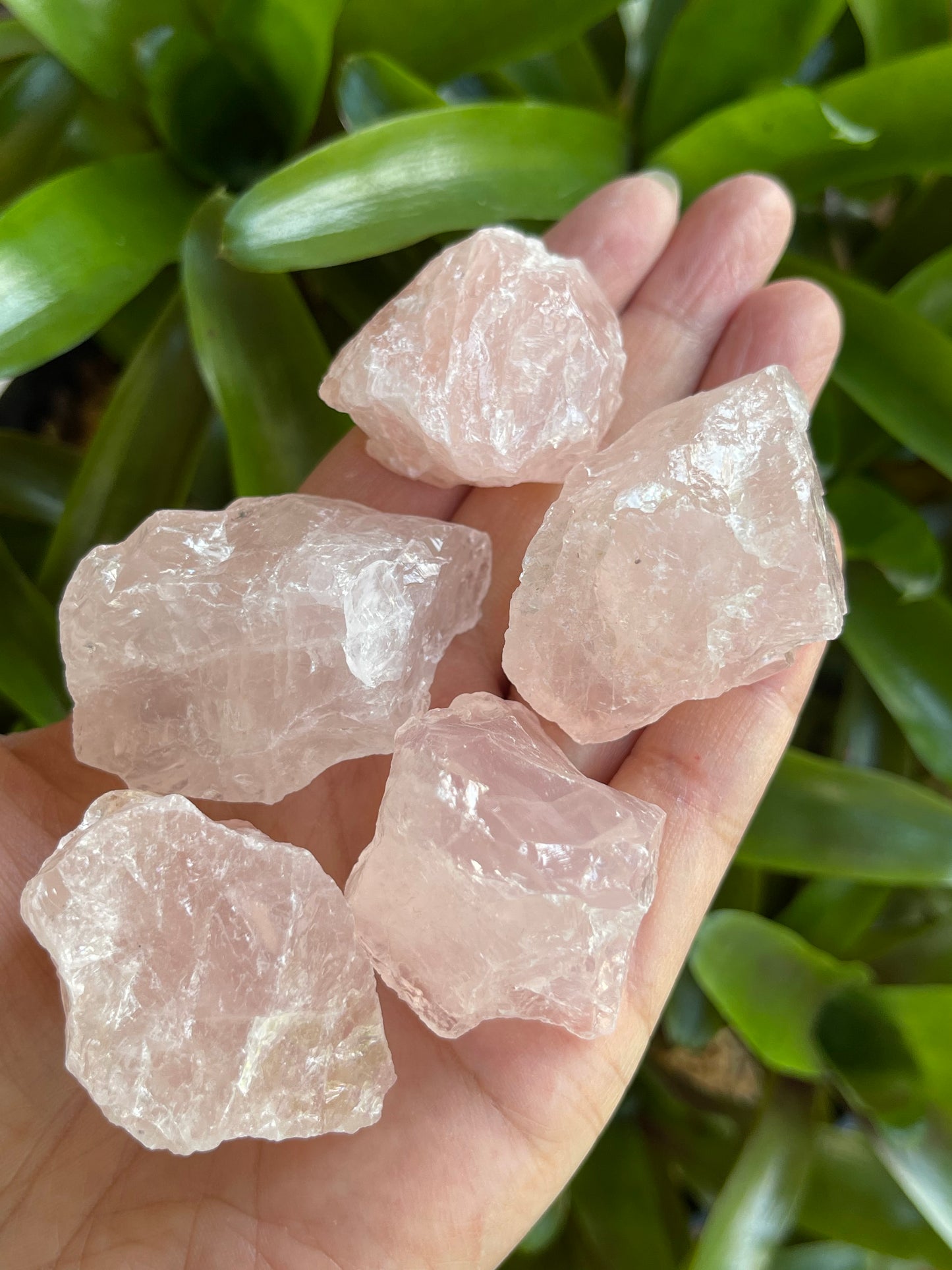 Rose Quartz Rough Natural Stones, 1.25-2" Raw Rose Quartz, Wholesales Bulk Lot