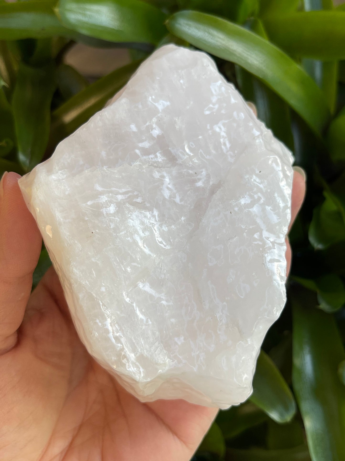 XL Raw Stones 0.5-1 lb, 3-4" Natural Crystals – Choose from 20+ Types
