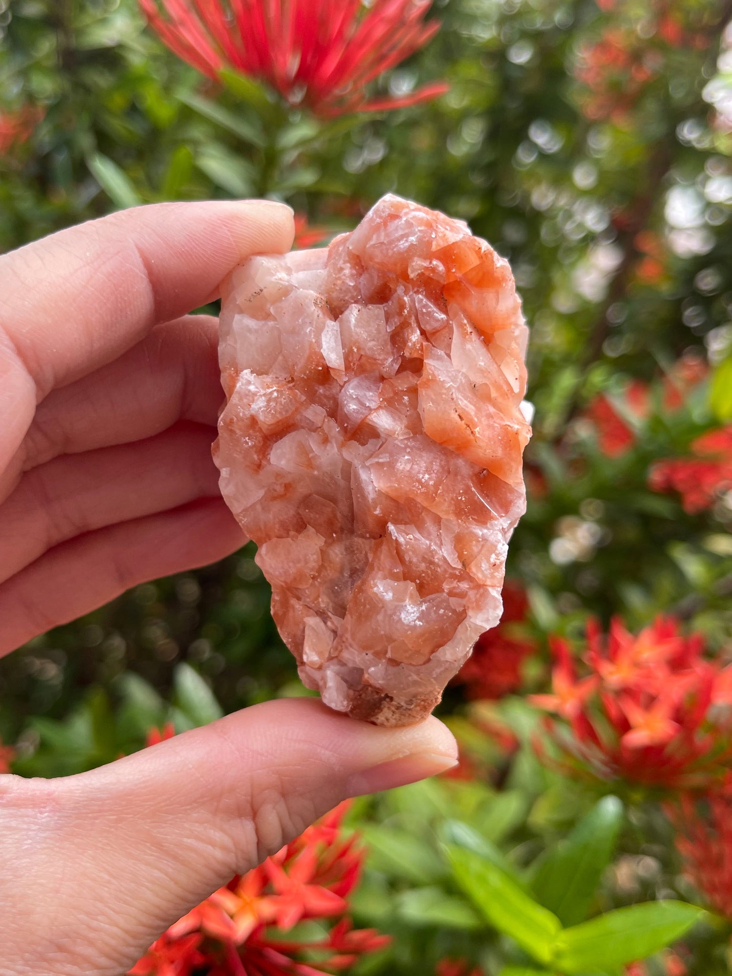 Large Raw Stones, Natural Rough Stones 2-3", Choose From 43 Types Stones