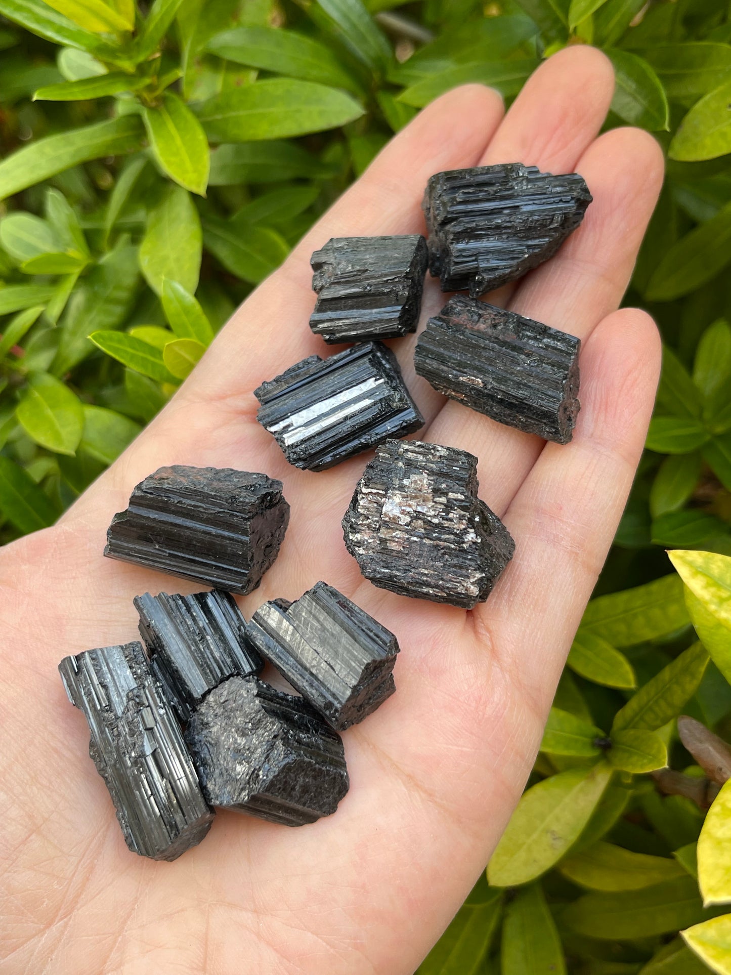 Grade A++ Black Tourmaline Small Raw Natural Stone 0.5" - 1.25", Wholesale Bulk
