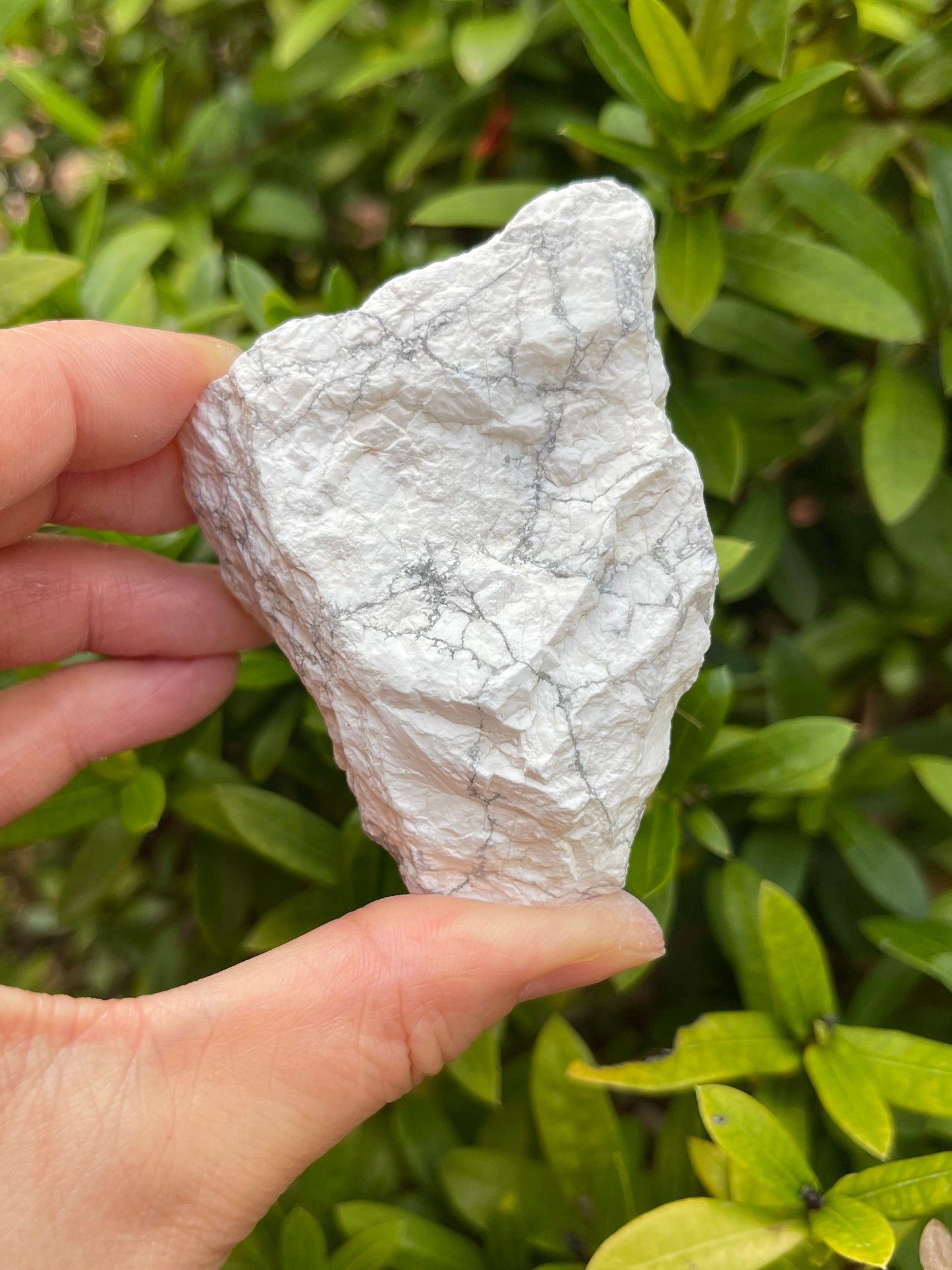 Large Raw Stones, Natural Rough Stones 2-3", Choose From 43 Types Stones