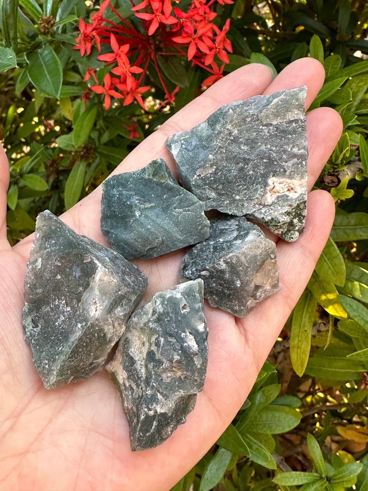Grade A+ Tree Agate Rough Stones, Raw Tree Agate Crystals, Wholesale Bulk Lot