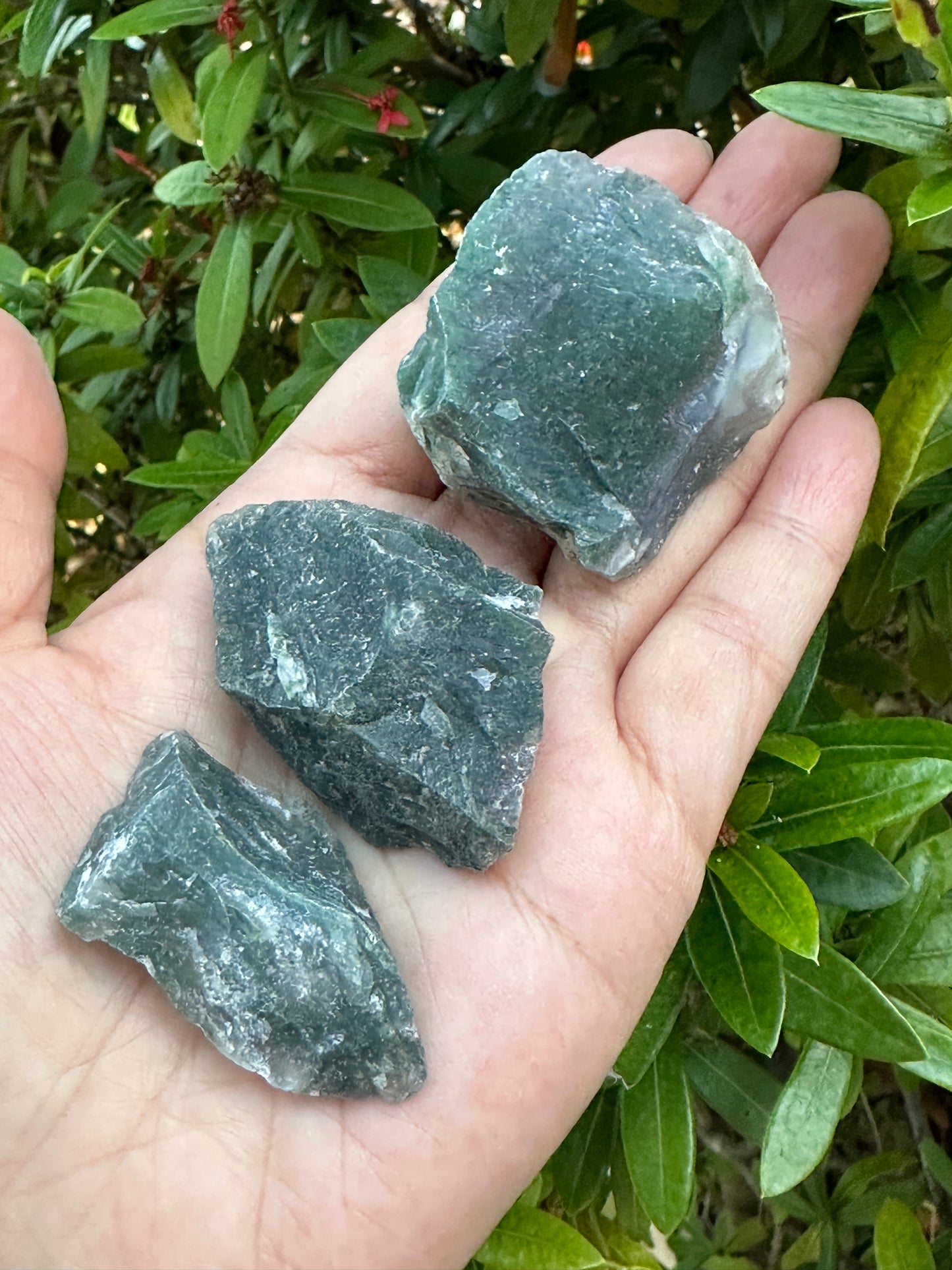 Grade A+ Tree Agate Rough Stones, Raw Tree Agate Crystals, Wholesale Bulk Lot
