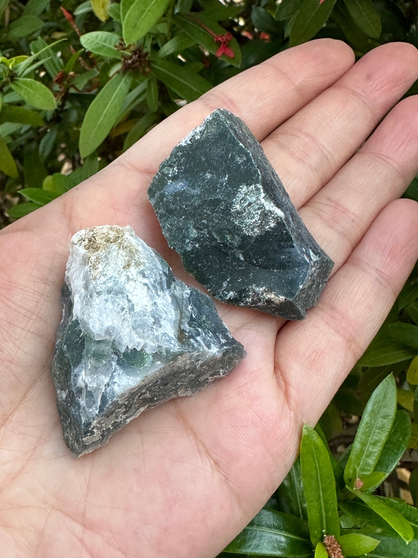 Grade A+ Tree Agate Rough Stones, Raw Tree Agate Crystals, Wholesale Bulk Lot