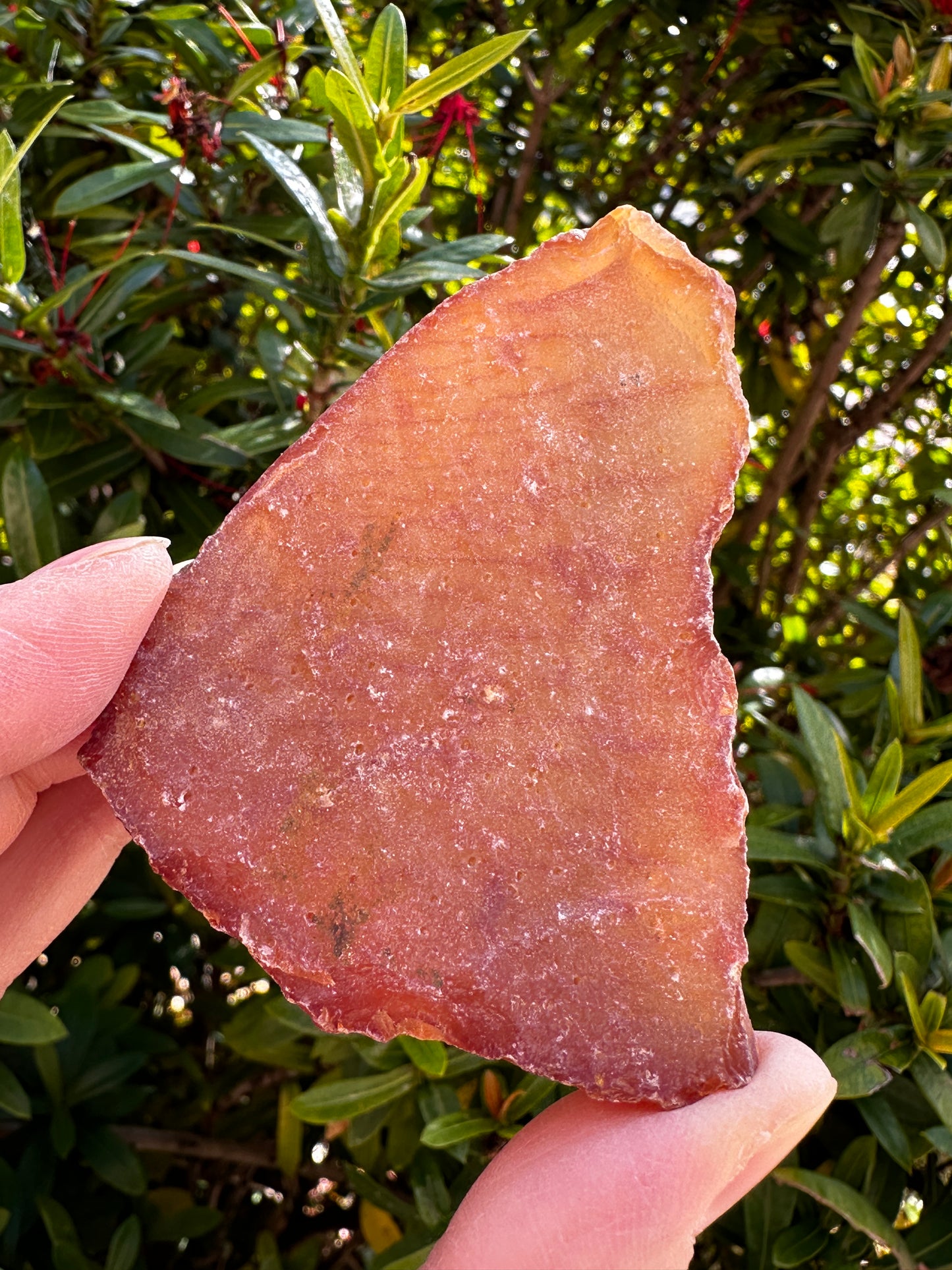 Large Carnelian Rough Natural Stones, 2-3" Raw Carnelian, Wholesales Bulk Lot