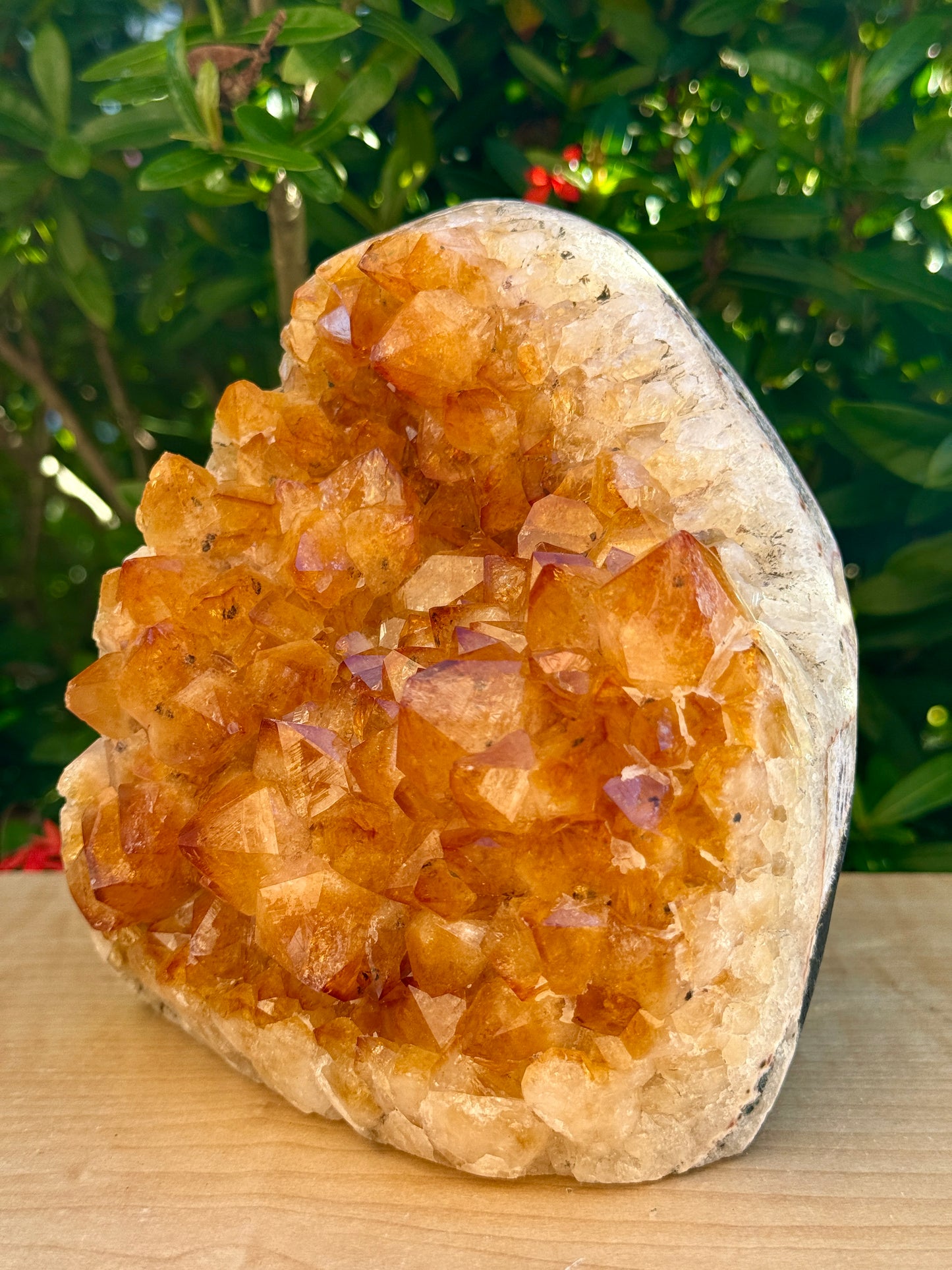 Finely Polished Citrine Clusters With Cut Base | Honey Citrine Quartz Cluster | Pick Your Size 0.25lb-6lbs