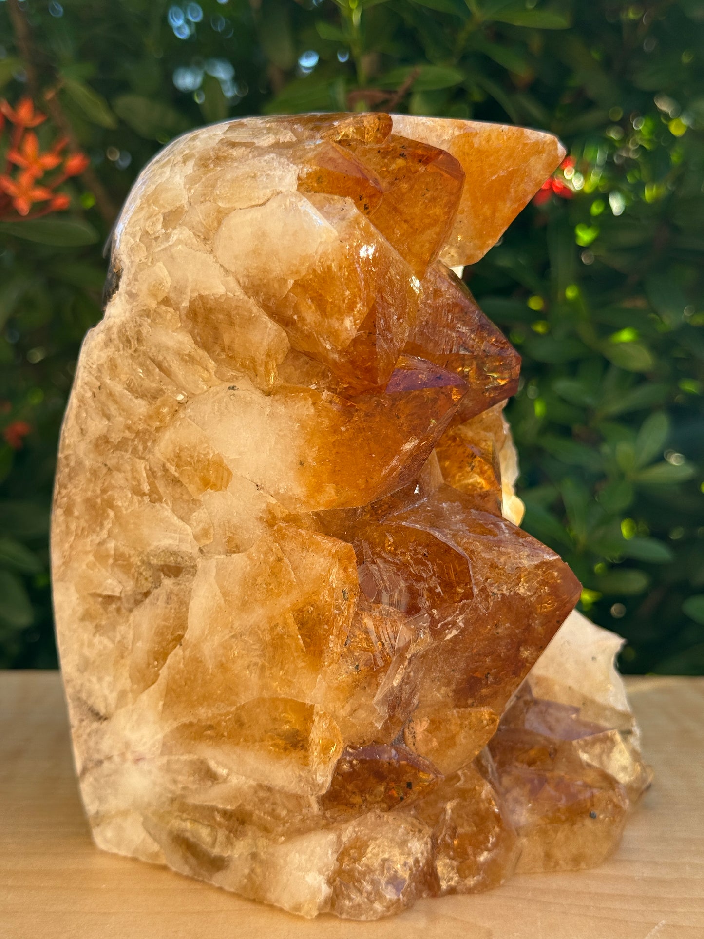 Finely Polished Citrine Clusters With Cut Base | Honey Citrine Quartz Cluster | Pick Your Size 0.25lb-6lbs
