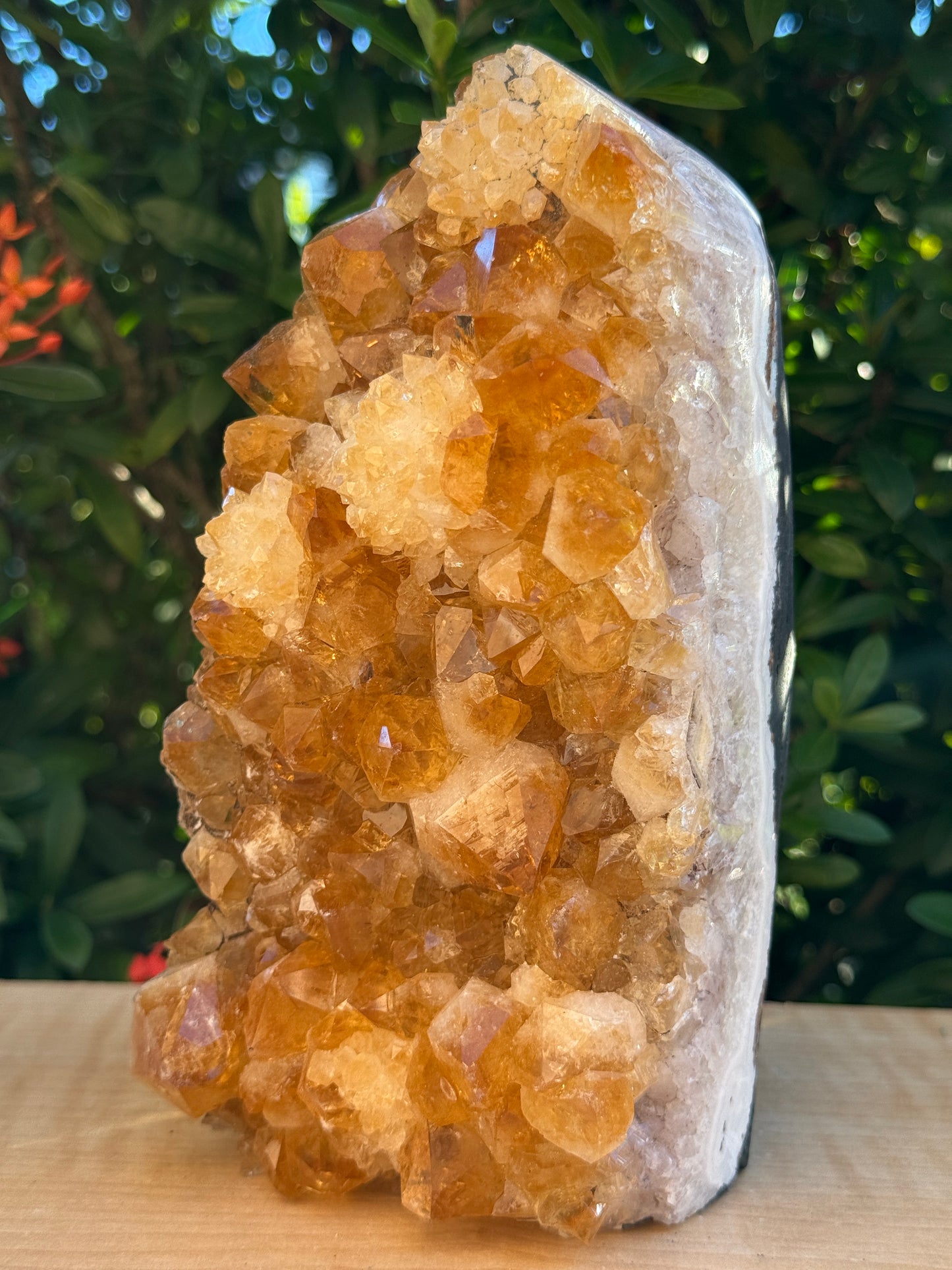 Finely Polished Citrine Clusters With Cut Base | Honey Citrine Quartz Cluster | Pick Your Size 0.25lb-6lbs