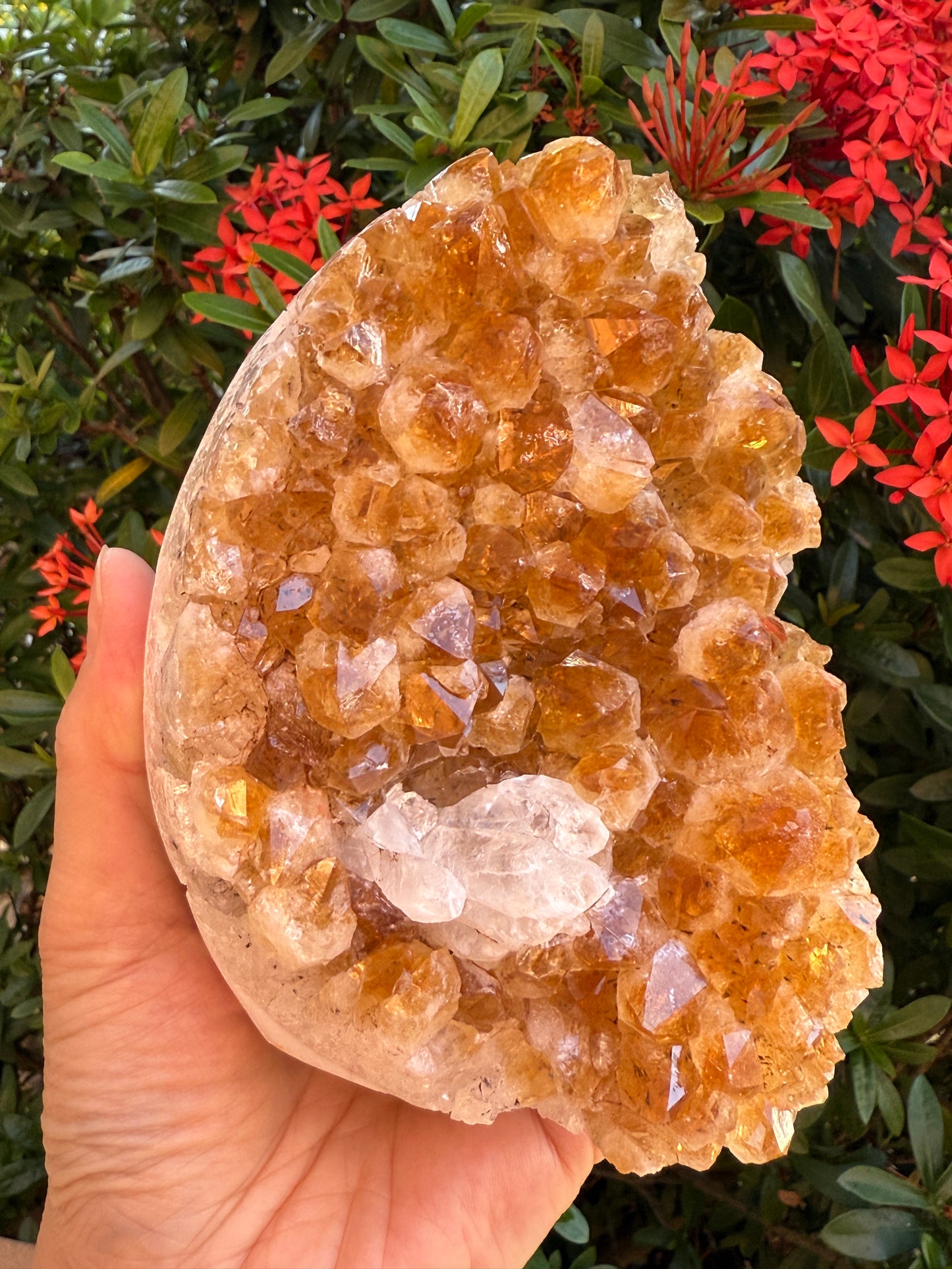 Finely Polished Citrine Clusters With Cut Base | Honey Citrine Quartz Cluster | Pick Your Size 0.25lb-6lbs