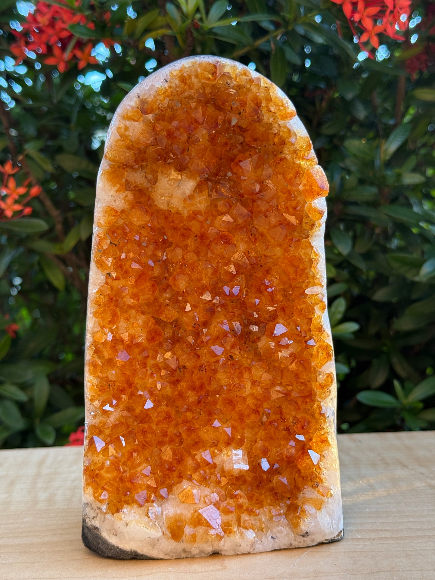 Finely Polished Citrine Clusters With Cut Base | Honey Citrine Quartz Cluster | Pick Your Size 0.25lb-6lbs
