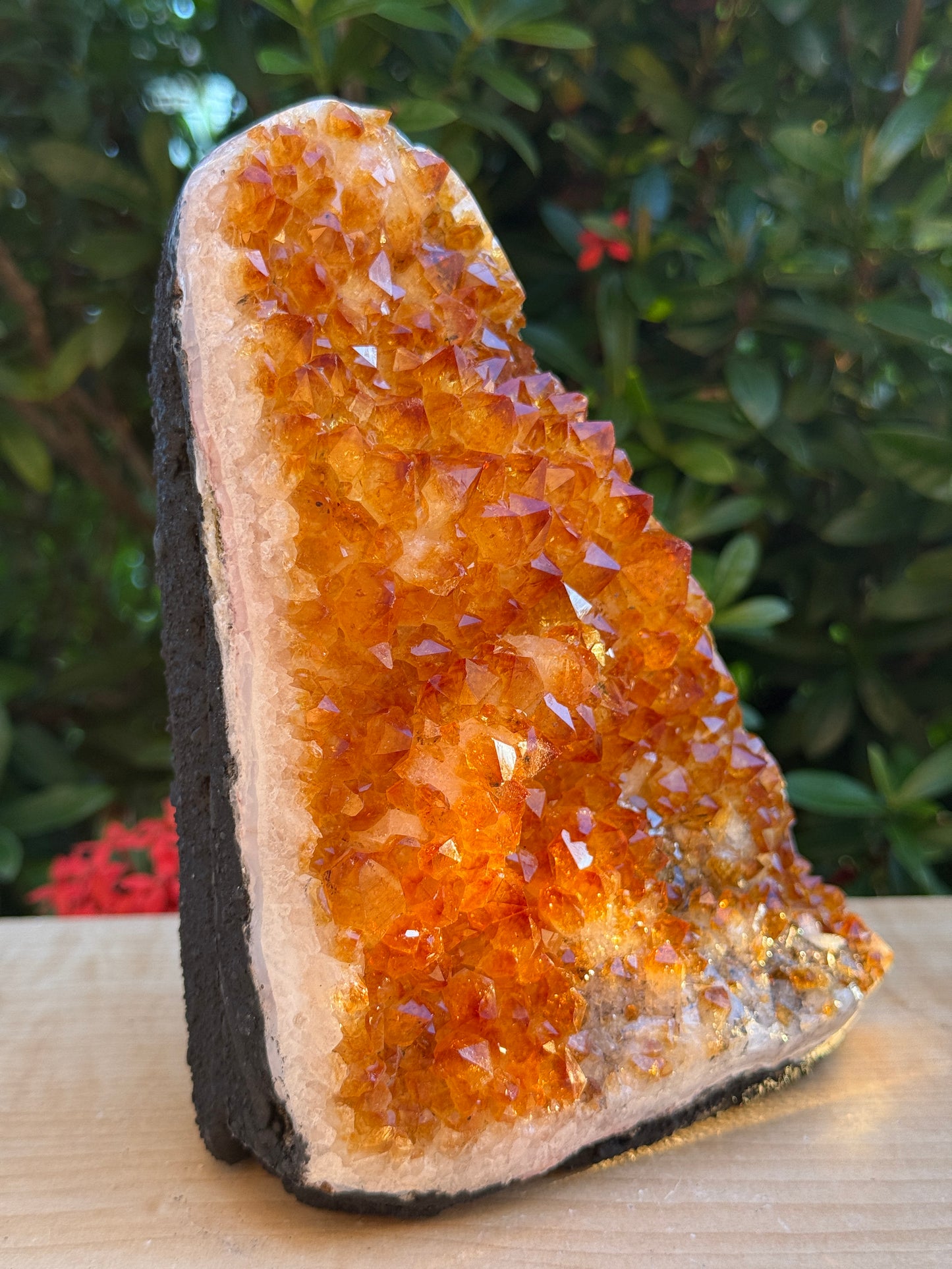 Finely Polished Citrine Clusters With Cut Base | Honey Citrine Quartz Cluster | Pick Your Size 0.25lb-6lbs