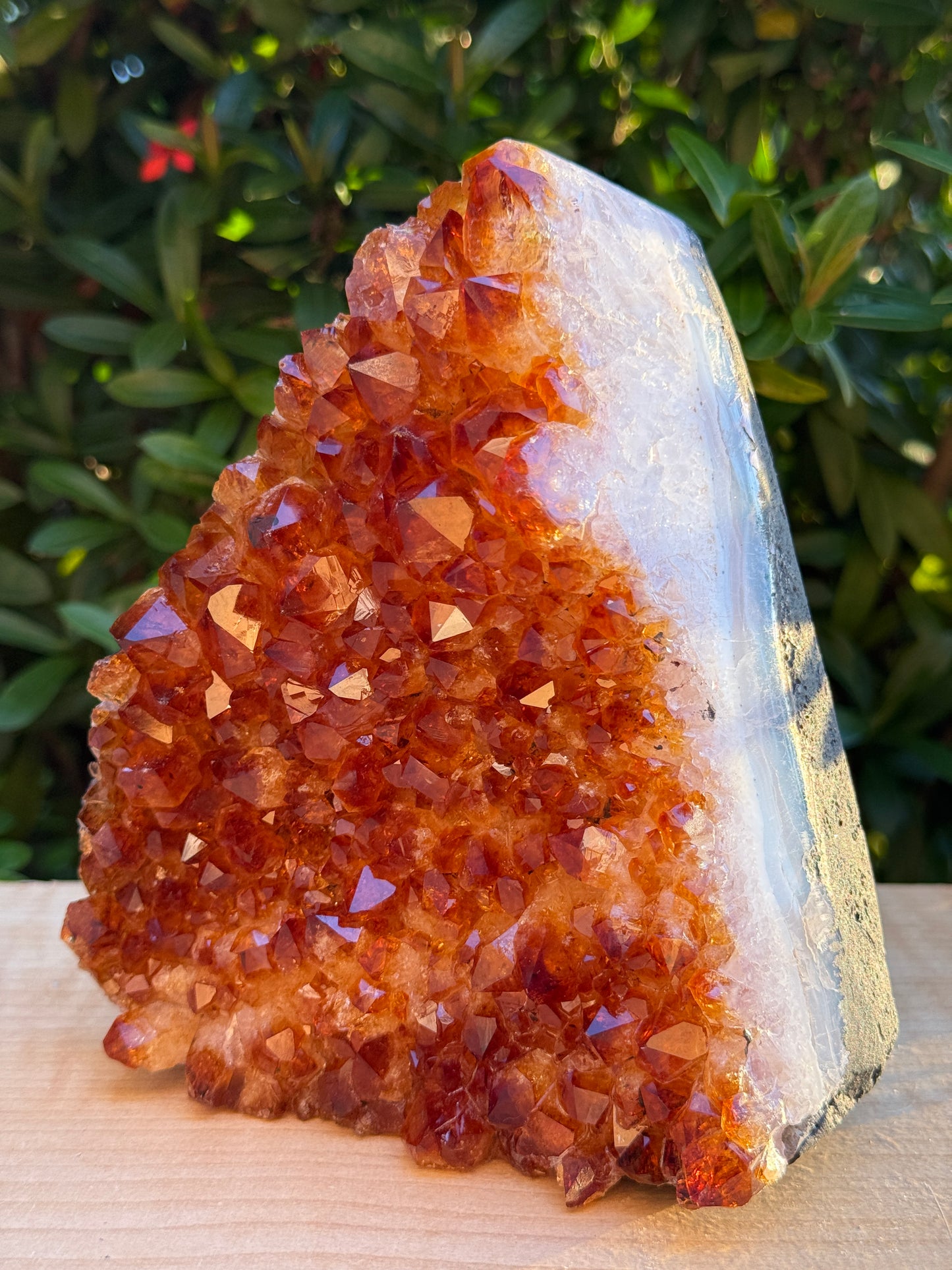 Finely Polished Citrine Clusters With Cut Base | Honey Citrine Quartz Cluster | Pick Your Size 0.25lb-6lbs