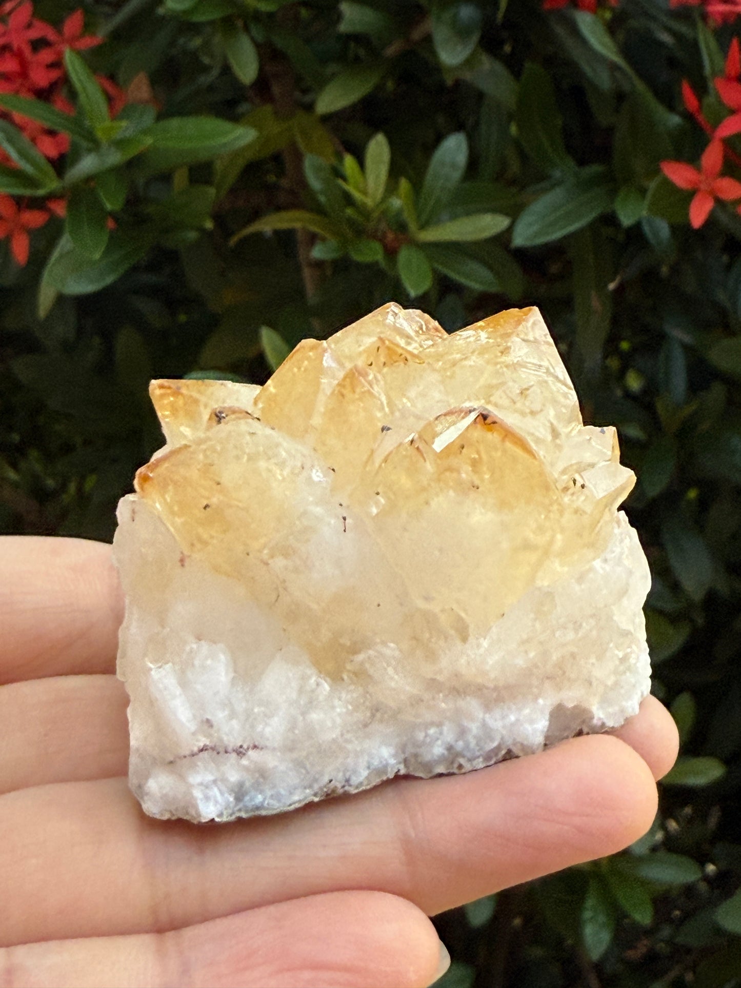 Brazilian Citrine Clusters, Citrine Crystal Clusters, Raw Crystals,Pick a Weight