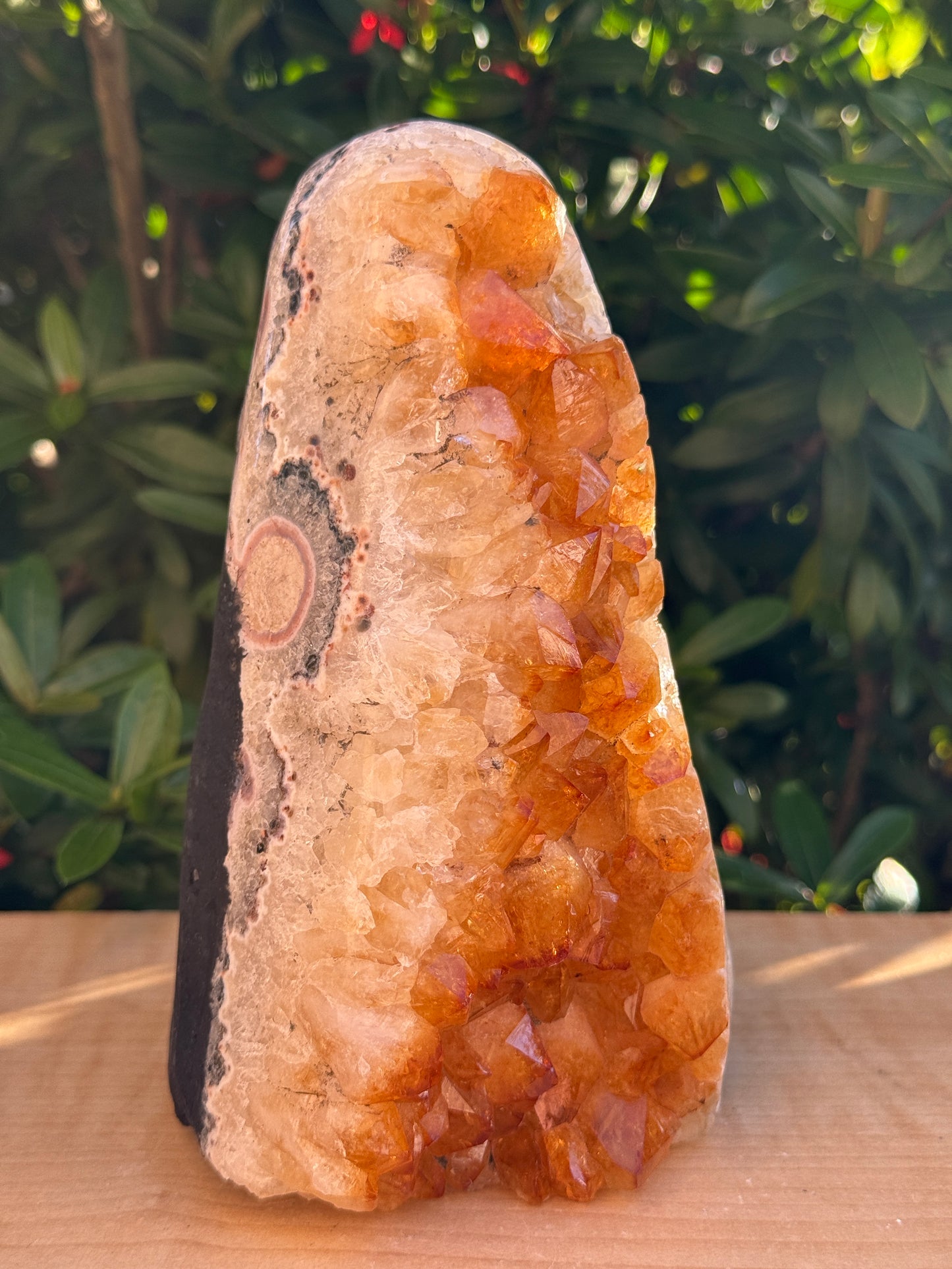 Finely Polished Citrine Clusters With Cut Base | Honey Citrine Quartz Cluster | Pick Your Size 0.25lb-6lbs