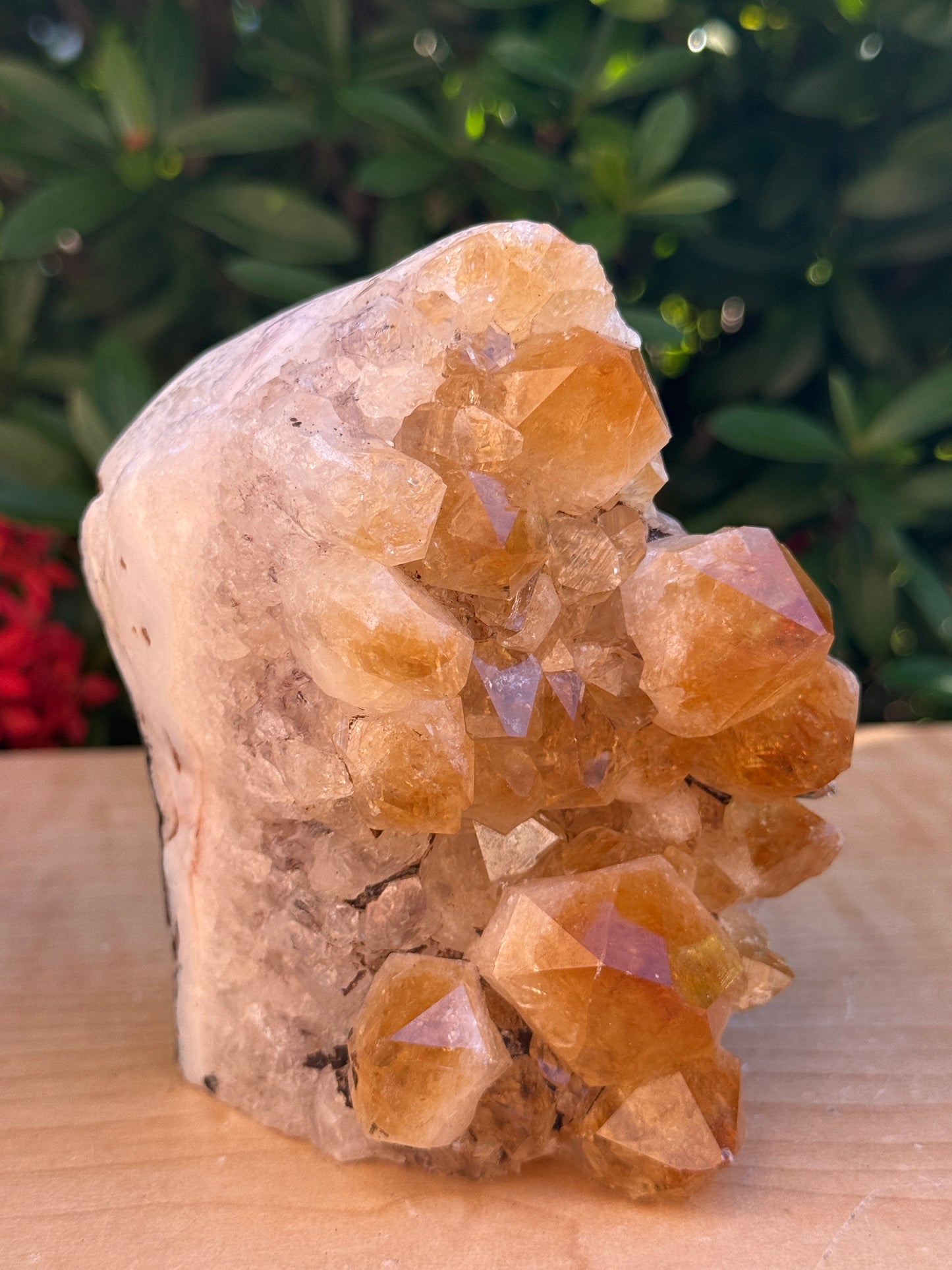Finely Polished Citrine Clusters With Cut Base | Honey Citrine Quartz Cluster | Pick Your Size 0.25lb-6lbs