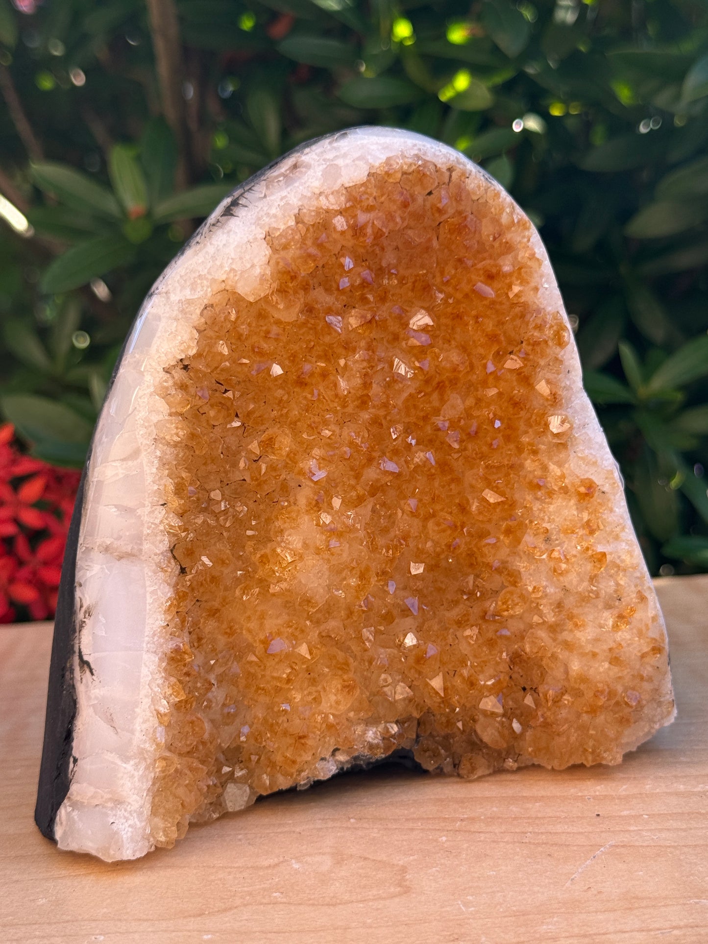 Finely Polished Citrine Clusters With Cut Base | Honey Citrine Quartz Cluster | Pick Your Size 0.25lb-6lbs