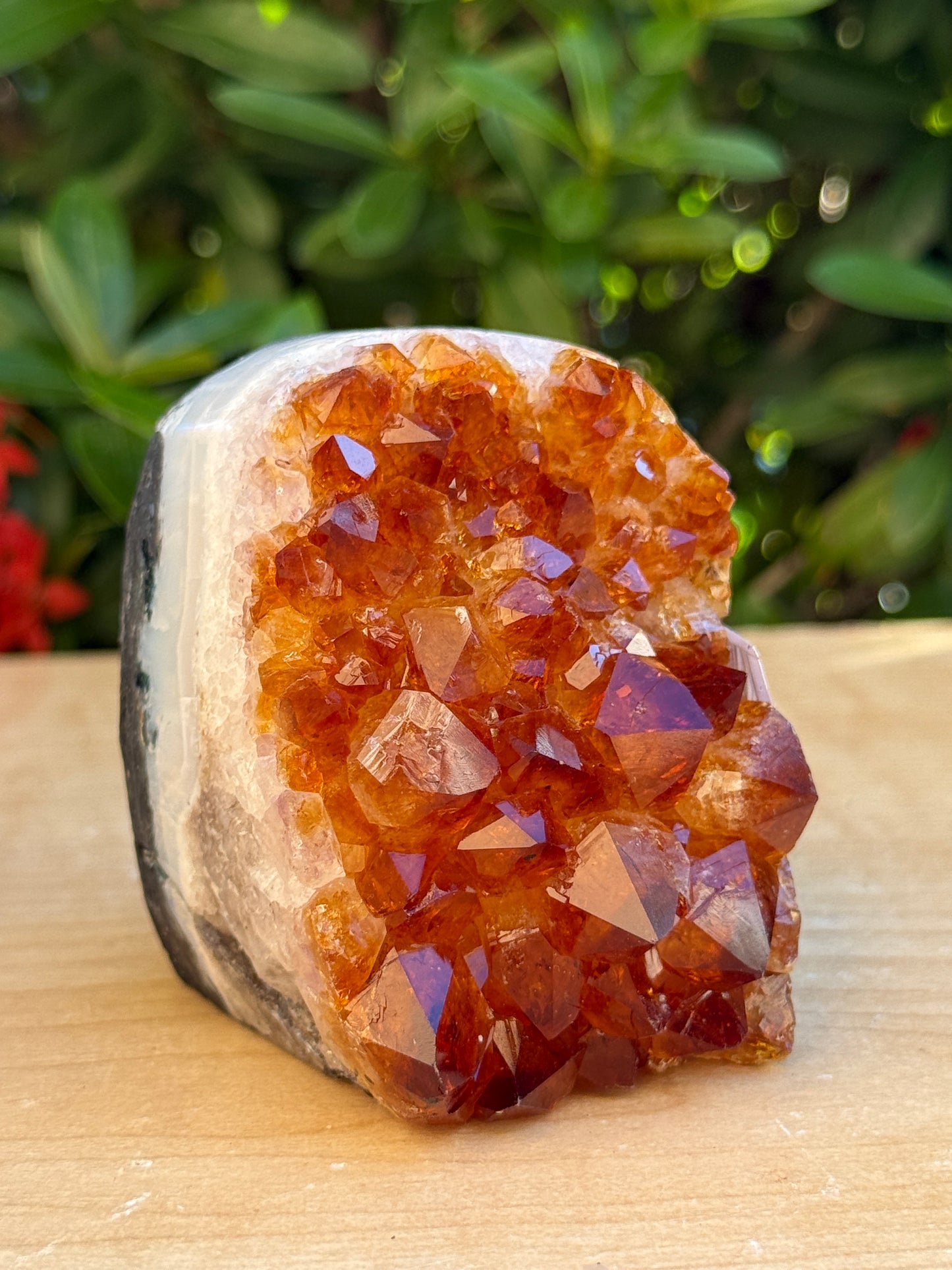 Finely Polished Citrine Clusters With Cut Base | Honey Citrine Quartz Cluster | Pick Your Size 0.25lb-6lbs
