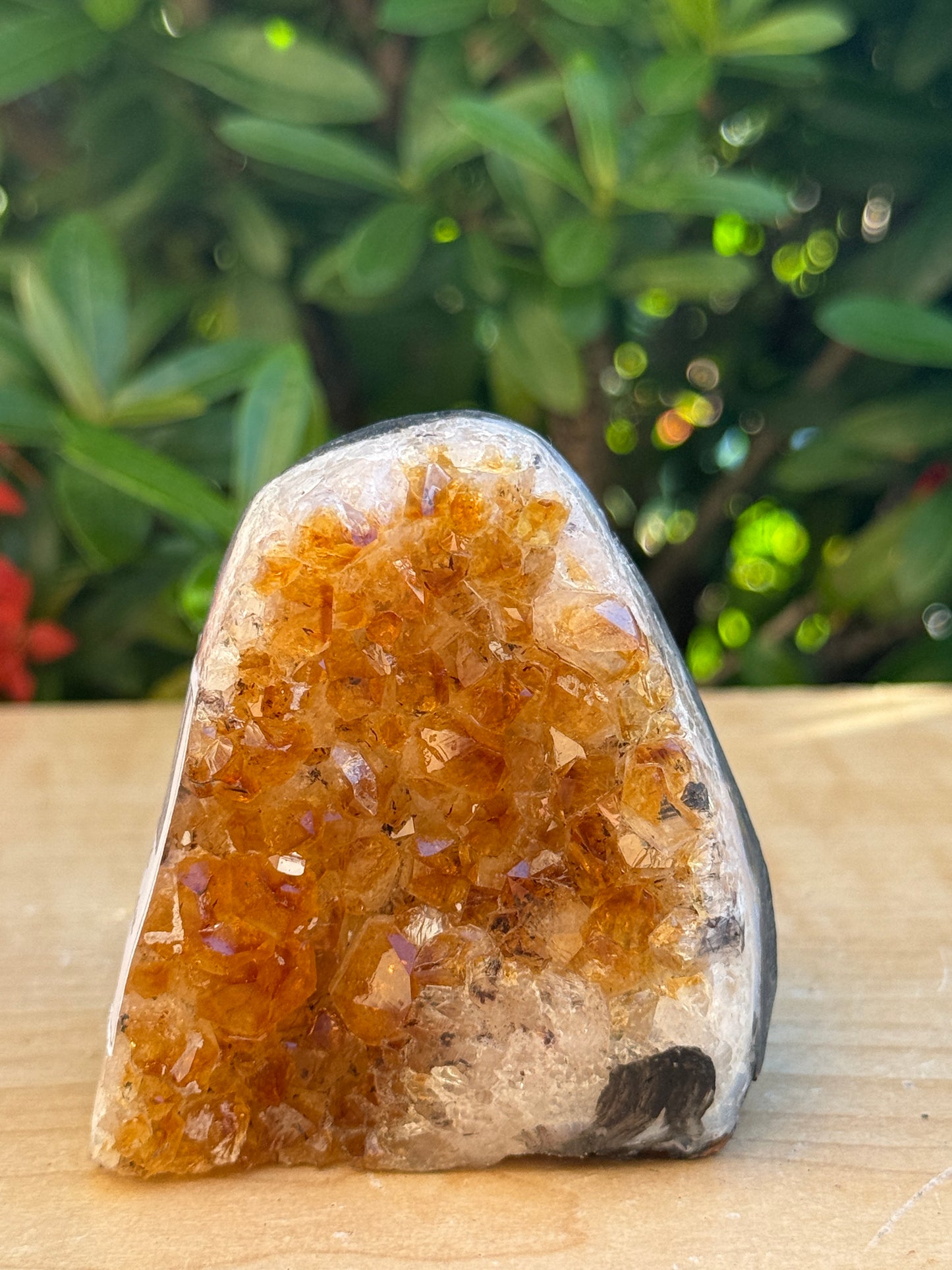 Finely Polished Citrine Clusters With Cut Base | Honey Citrine Quartz Cluster | Pick Your Size 0.25lb-6lbs