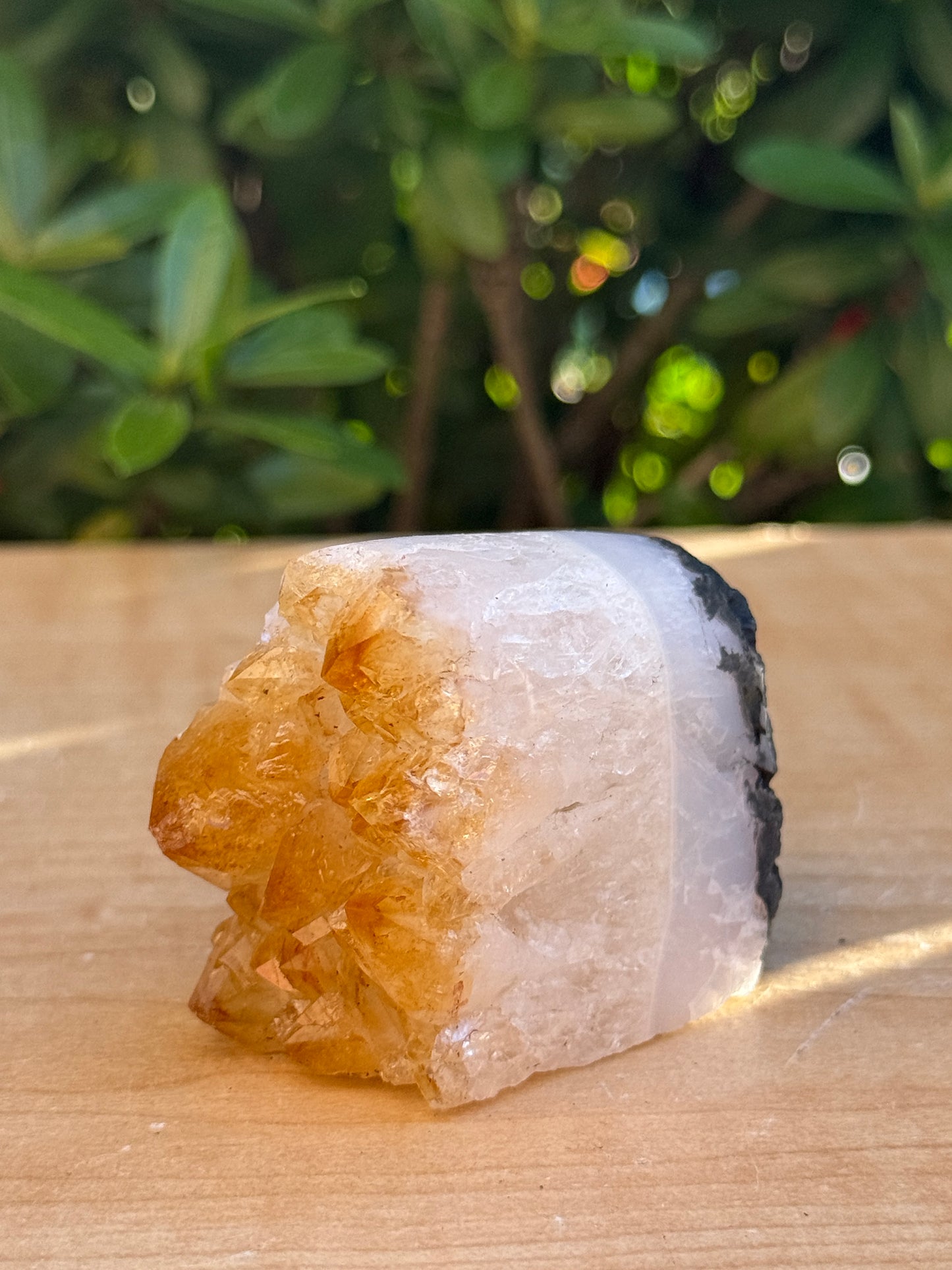 Finely Polished Citrine Clusters With Cut Base | Honey Citrine Quartz Cluster | Pick Your Size 0.25lb-6lbs