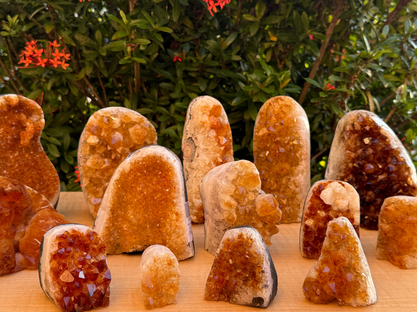 Finely Polished Citrine Clusters With Cut Base | Honey Citrine Quartz Cluster | Pick Your Size 0.25lb-6lbs