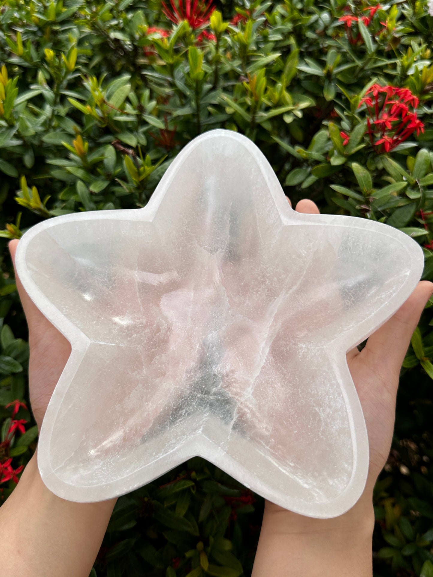 8" Jumbo Selenite Charging Bowl – Choose Your Shape: Round, Heart, Star, Triple Moon