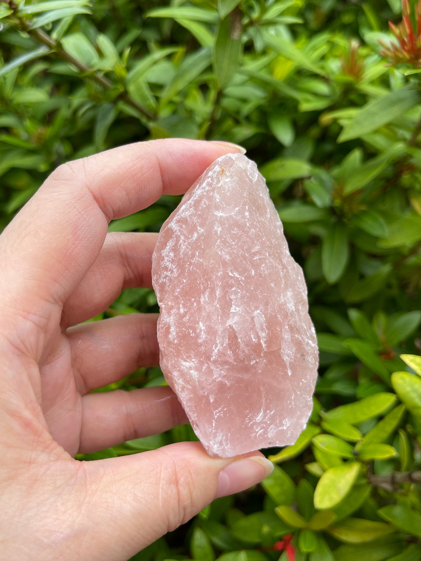 Large Raw Stones, Natural Rough Stones 2-3", Choose From 43 Types Stones
