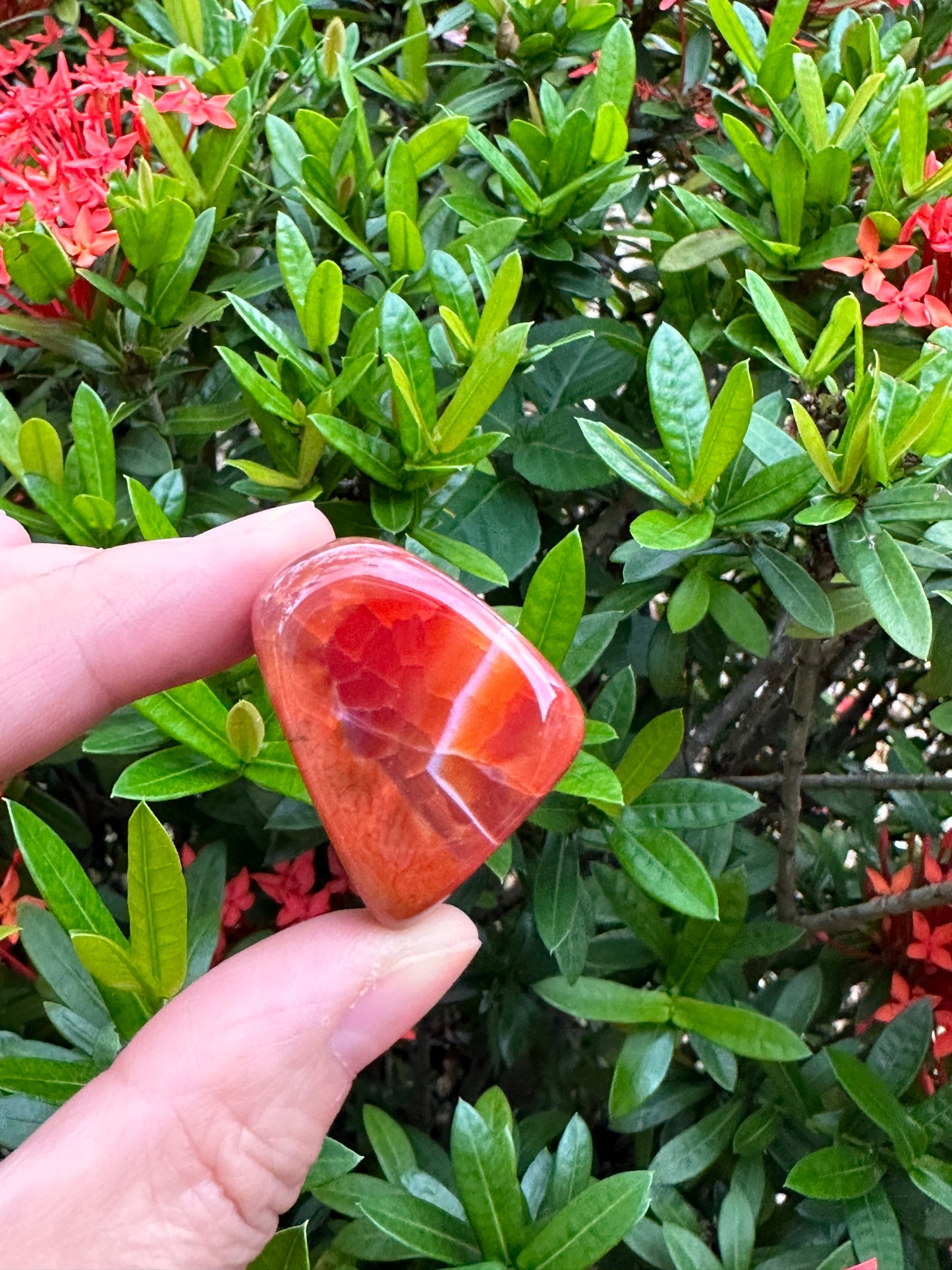 Grade A++ Fire Agate Tumbled Stones, 0.75"-1.25" Fire Agate Polished Stone, Wholesale Bulk Lot