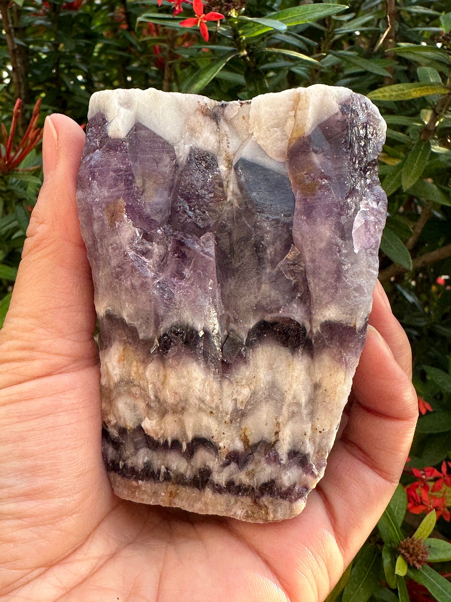 Extra Large Chevron Amethyst Rough Stone, 2"- 7" Raw Chevron Amethyst Crystals