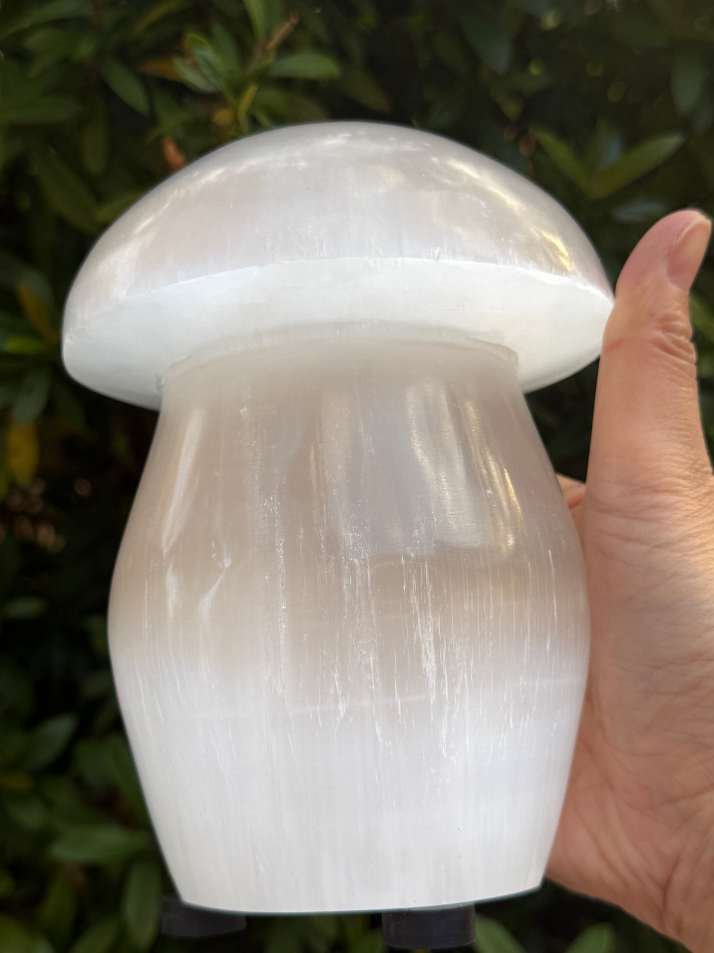 Selenite Mushroom Lamp – 6" Natural White Crystal Healing Lamp for Bedroom, Living Room, Nightstand & Desk Décor