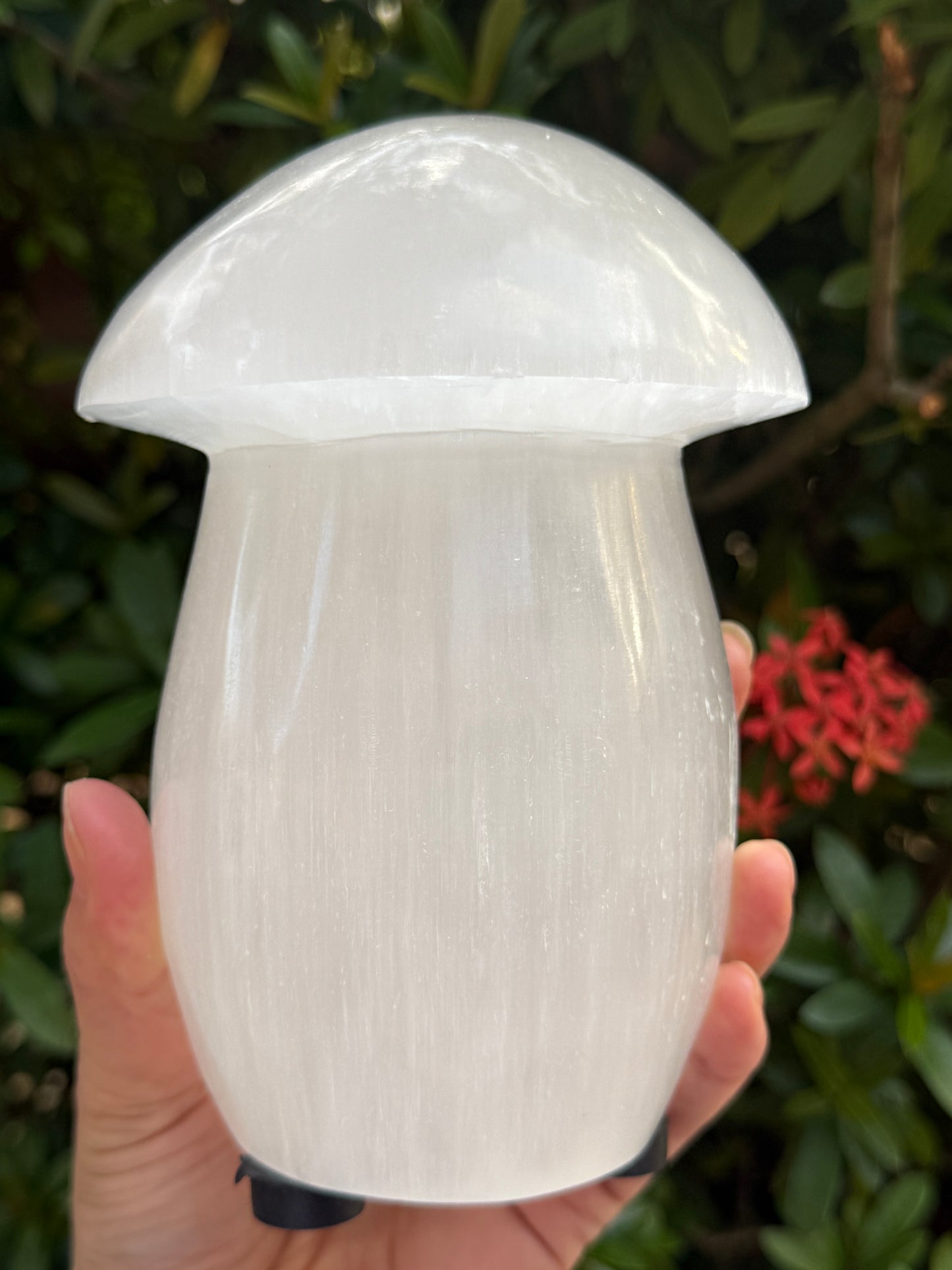 Selenite Mushroom Lamp – 6" Natural White Crystal Healing Lamp for Bedroom, Living Room, Nightstand & Desk Décor