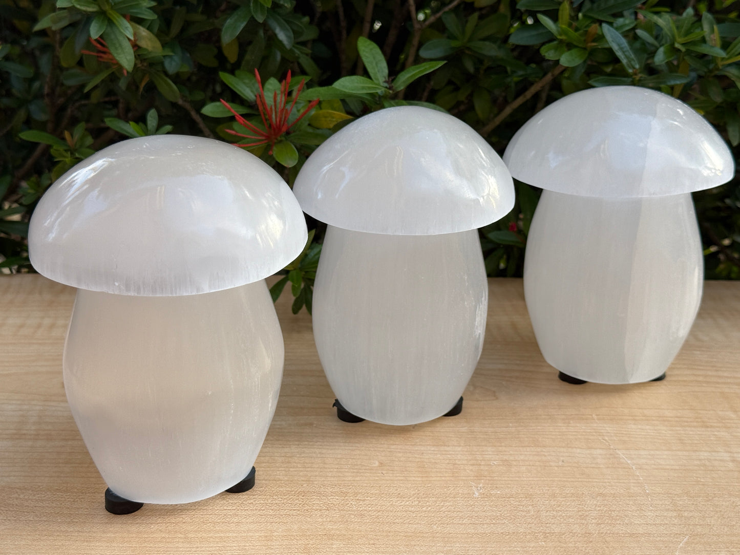 Selenite Mushroom Lamp – 6" Natural White Crystal Healing Lamp for Bedroom, Living Room, Nightstand & Desk Décor