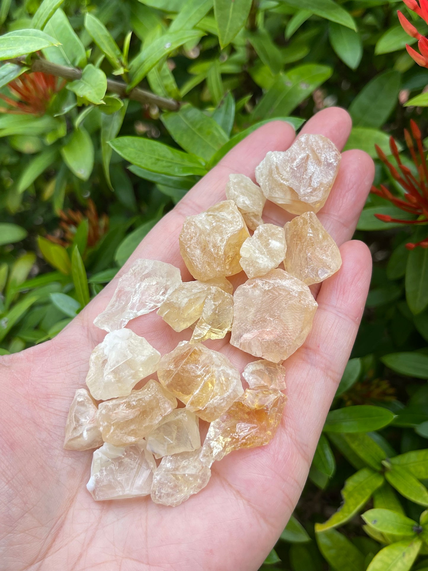 Citrine Small Raw Stone, 0.5" - 1" Rough Citrine Chunks, Raw Citrine Gravel