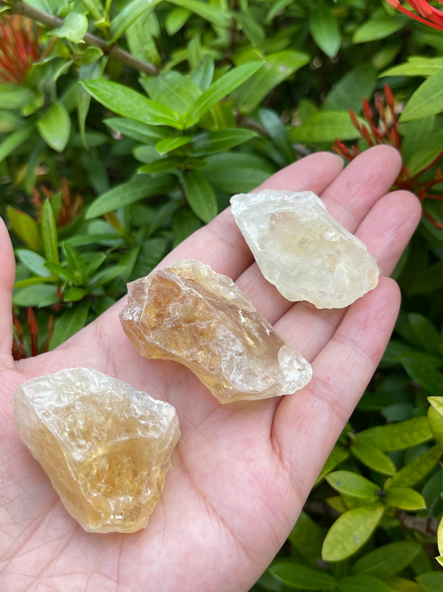Citrine Raw Stone, 1.25" - 2" Rough Citrine Chunks, Raw Citrine Stones