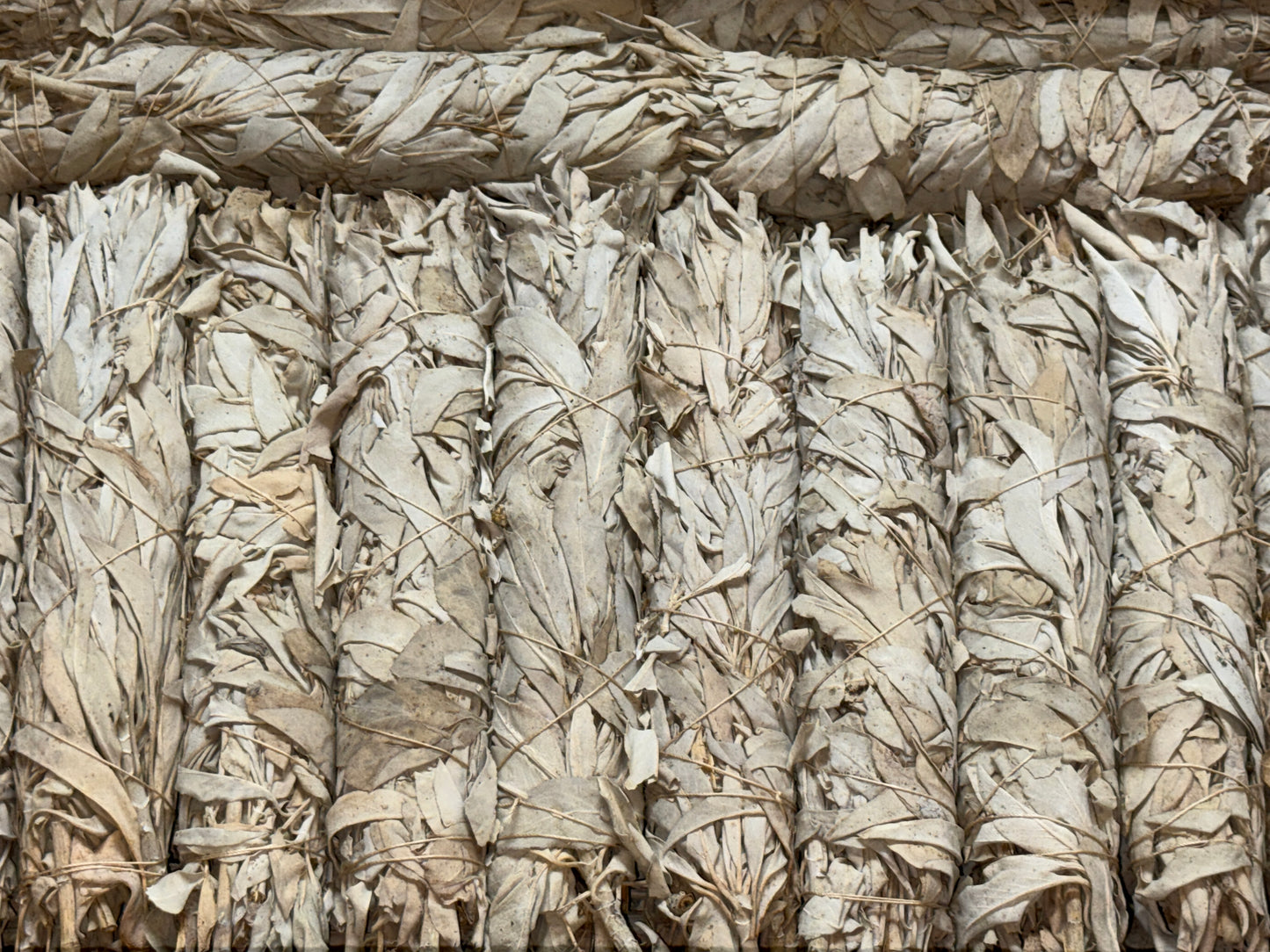 9" White Sage Smudge Stick – Extra Long California White Sage Smudge Bundles, Bulk Lot for Cleansing, Purifying, and Aromatherapy