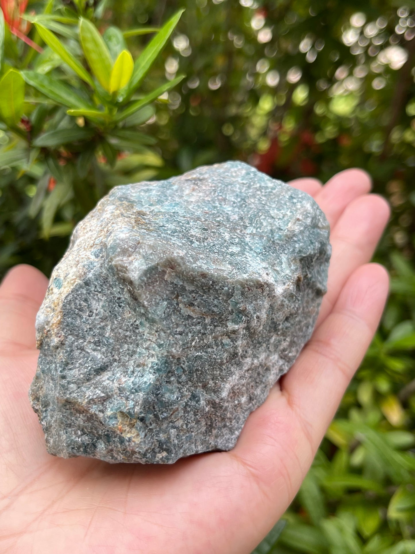 XL Raw Stones 0.5-1 lb, 3-4" Natural Crystals – Choose from 20+ Types