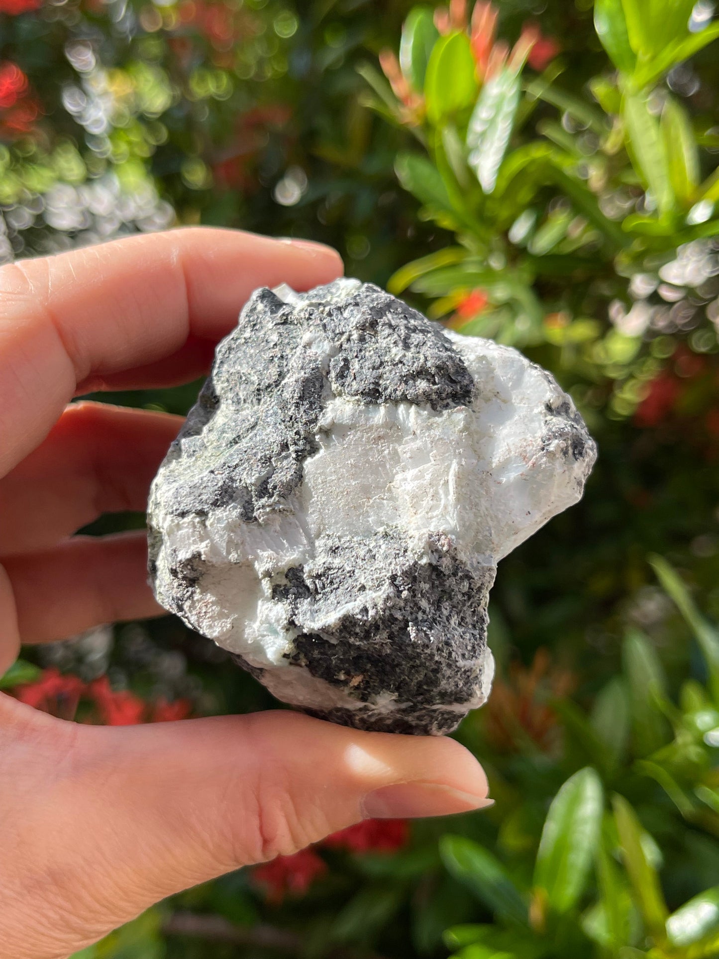 Large Raw Stones, Natural Rough Stones 2-3", Choose From 43 Types Stones