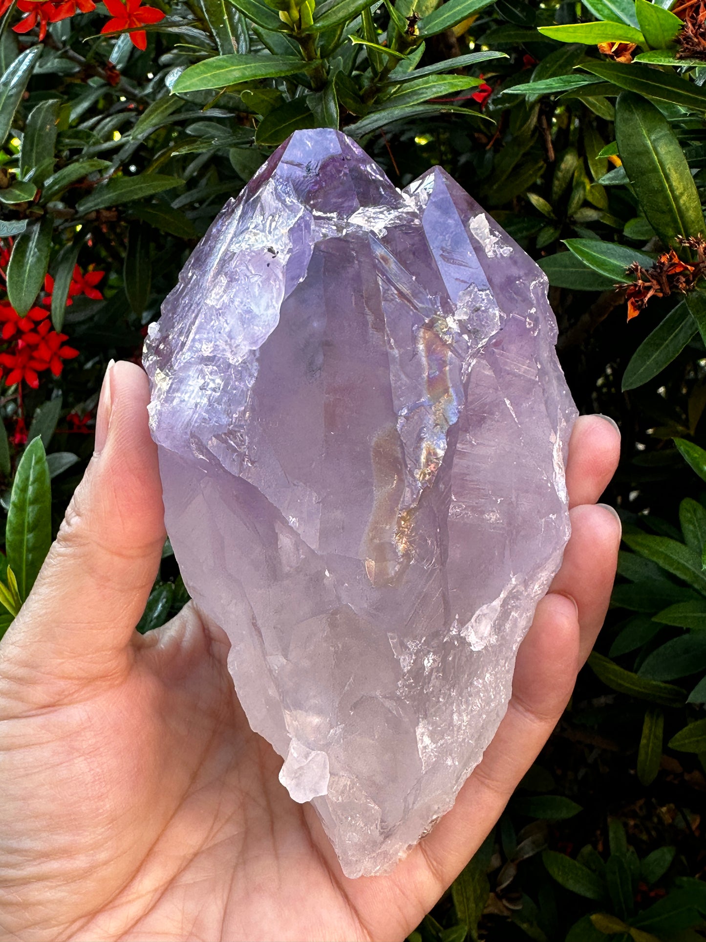 XL Raw Stones 0.5-1 lb, 3-4" Natural Crystals – Choose from 20+ Types